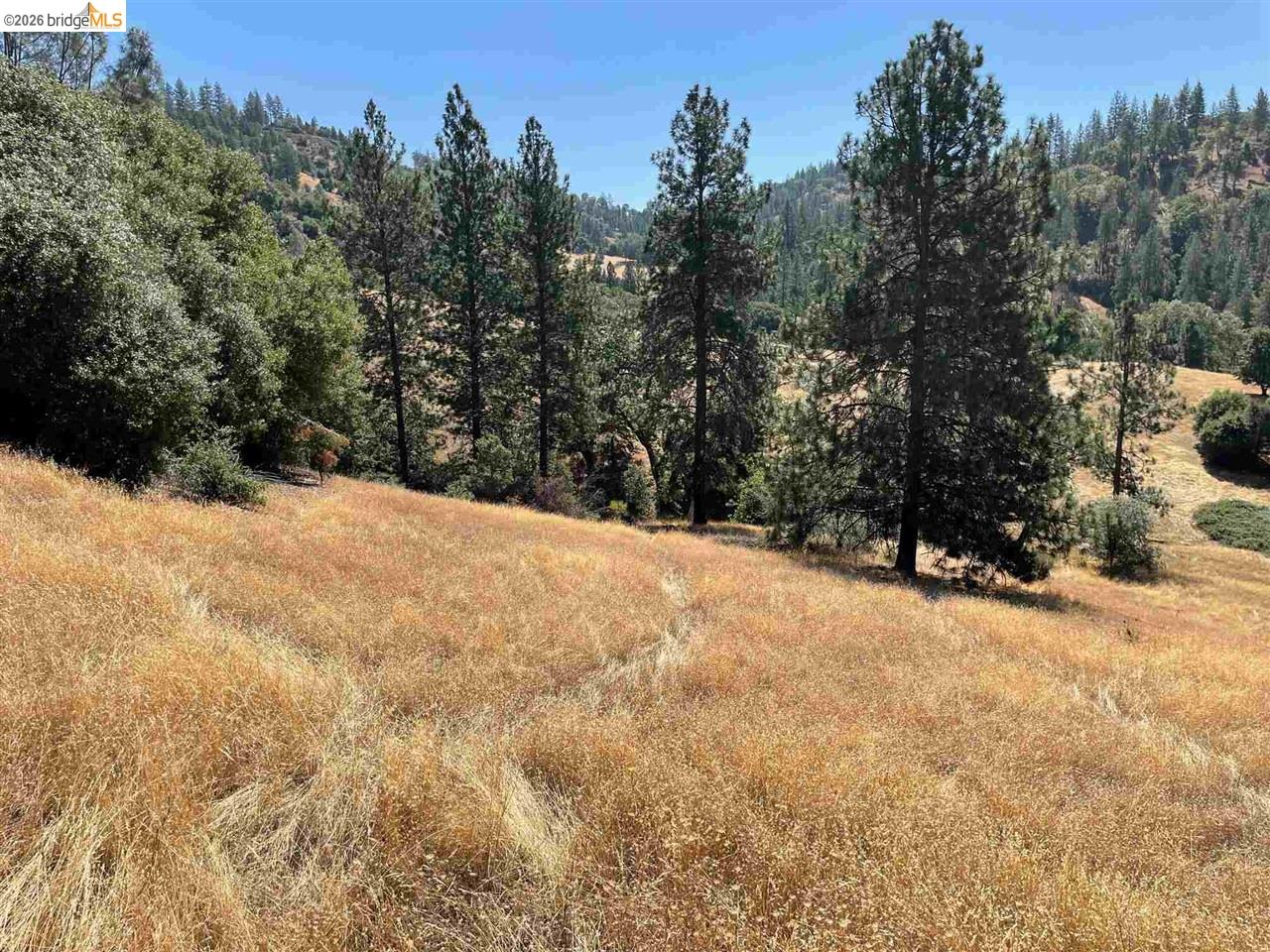 00000 Forrest Rd 1N19, Tuolumne CA 95379 — photo 11