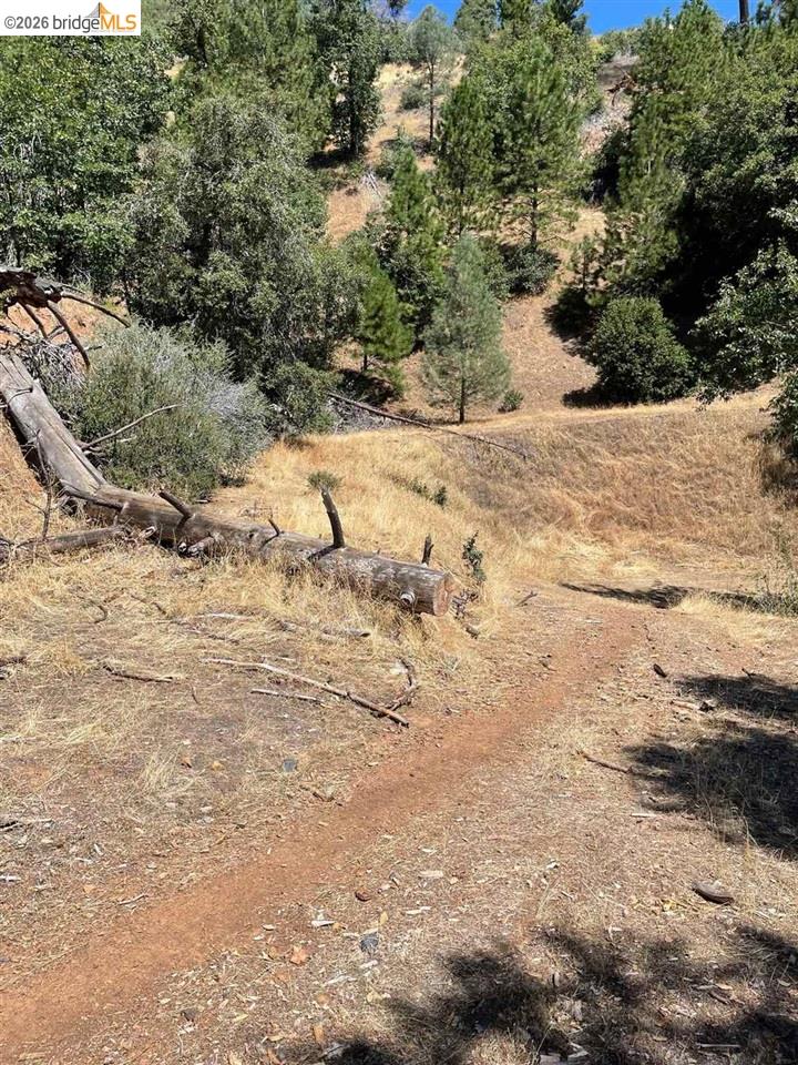 00000 Forrest Rd 1N19, Tuolumne CA 95379 — photo 12