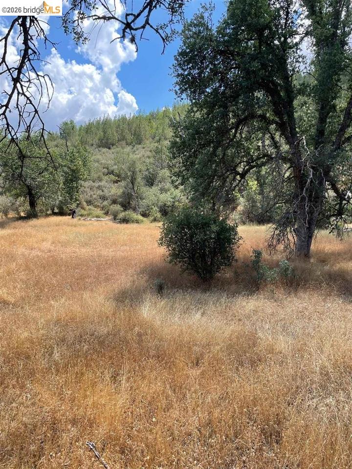 00000 Forrest Rd 1N19, Tuolumne CA 95379 — photo 13
