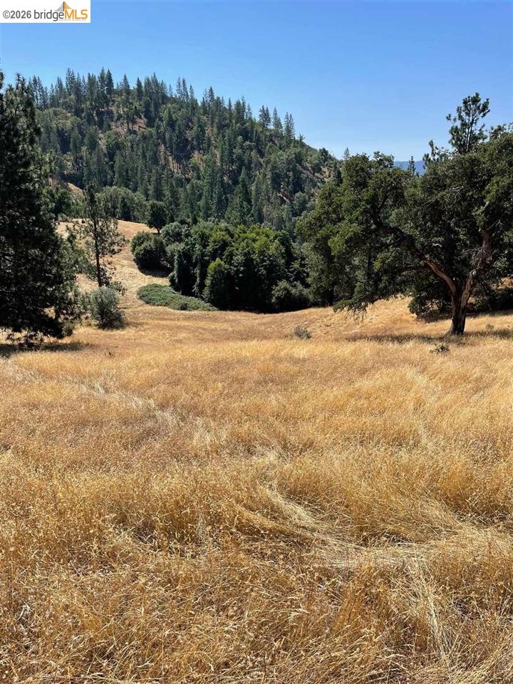 00000 Forrest Rd 1N19, Tuolumne CA 95379 — photo 14