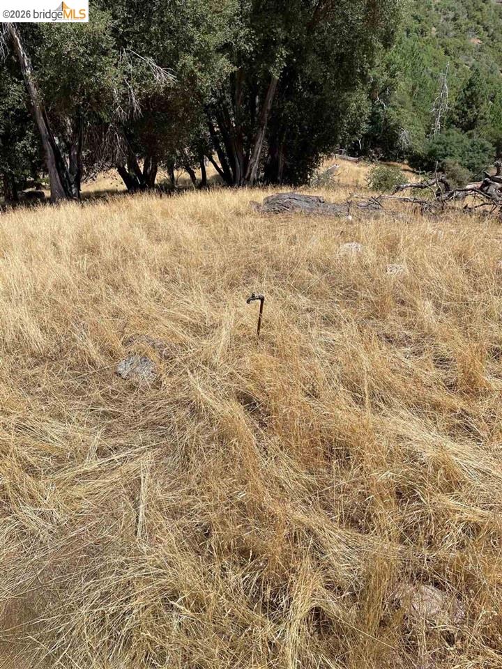 00000 Forrest Rd 1N19, Tuolumne CA 95379 — photo 17