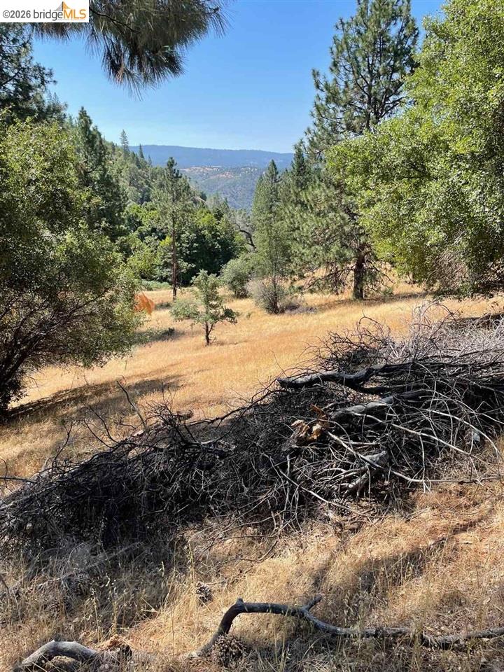 00000 Forrest Rd 1N19, Tuolumne CA 95379 — photo 18