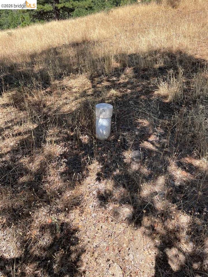 00000 Forrest Rd 1N19, Tuolumne CA 95379 — photo 21