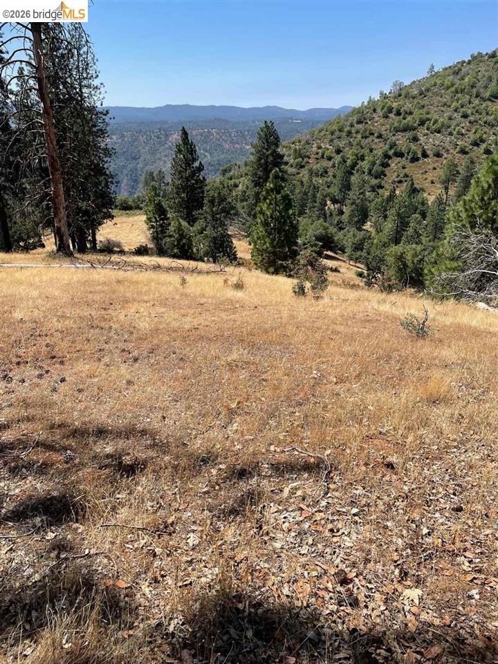 00000 Forrest Rd 1N19, Tuolumne CA 95379 — photo 8