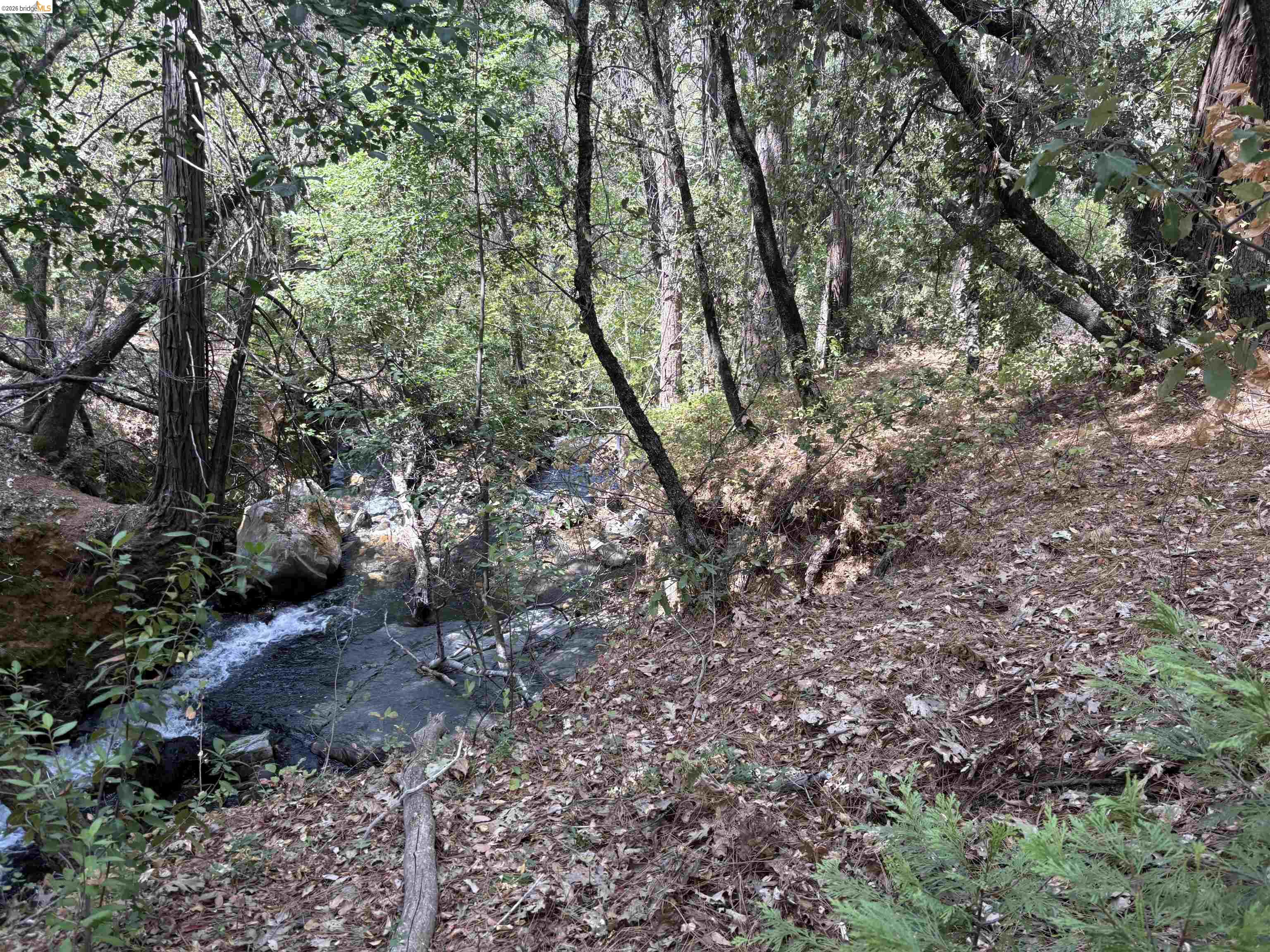 1440 Utica Powerhouse Rd, Murphys CA 95247 — photo 2