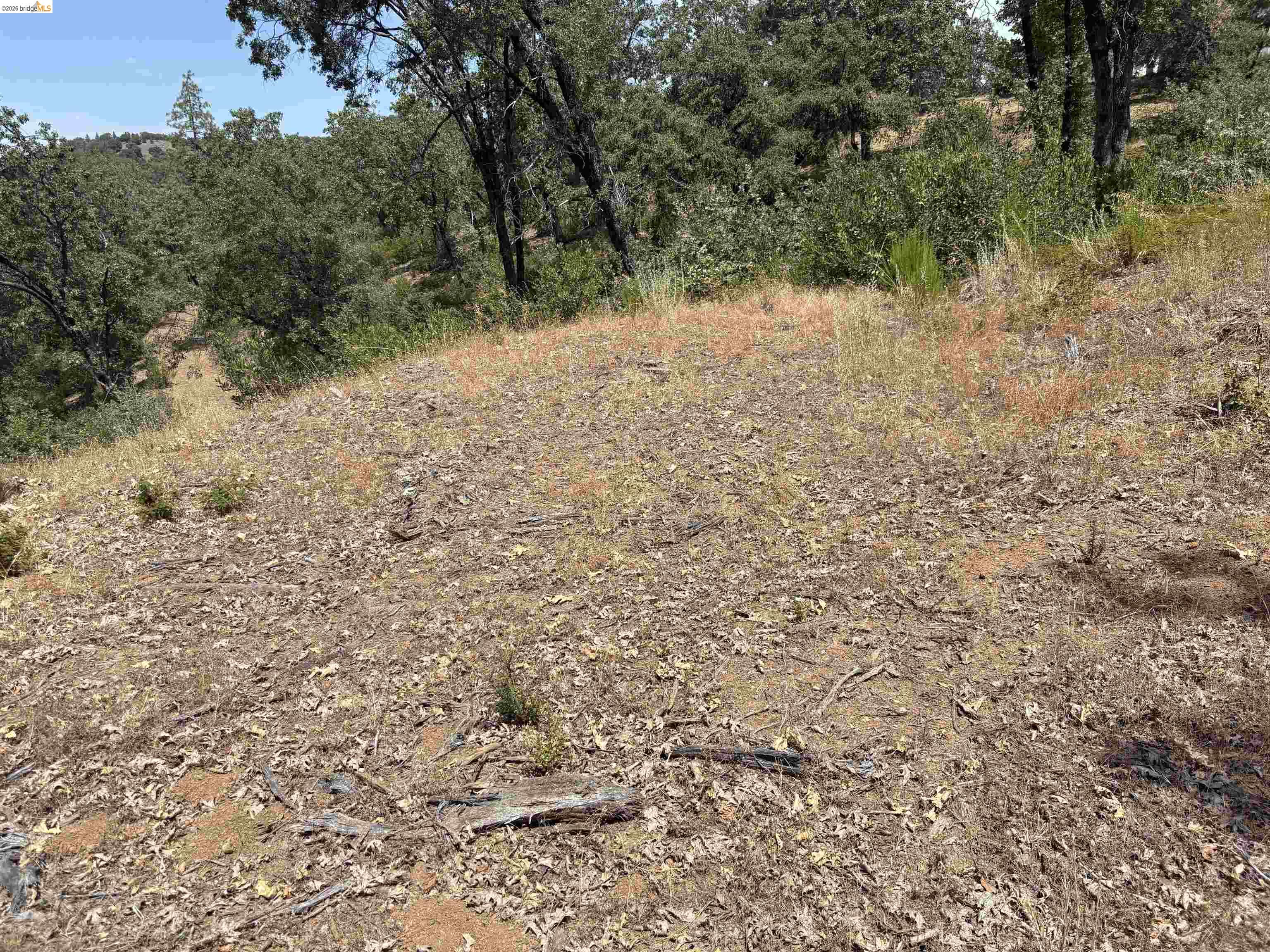 1440 Utica Powerhouse Rd, Murphys CA 95247 — photo 19