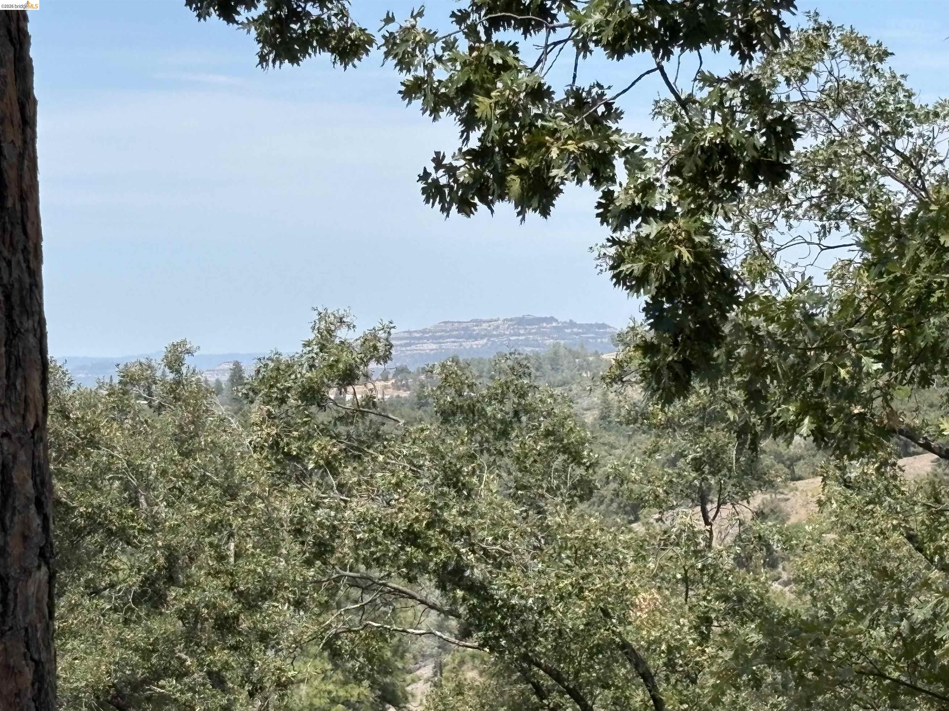 1440 Utica Powerhouse Rd, Murphys CA 95247 — photo 20