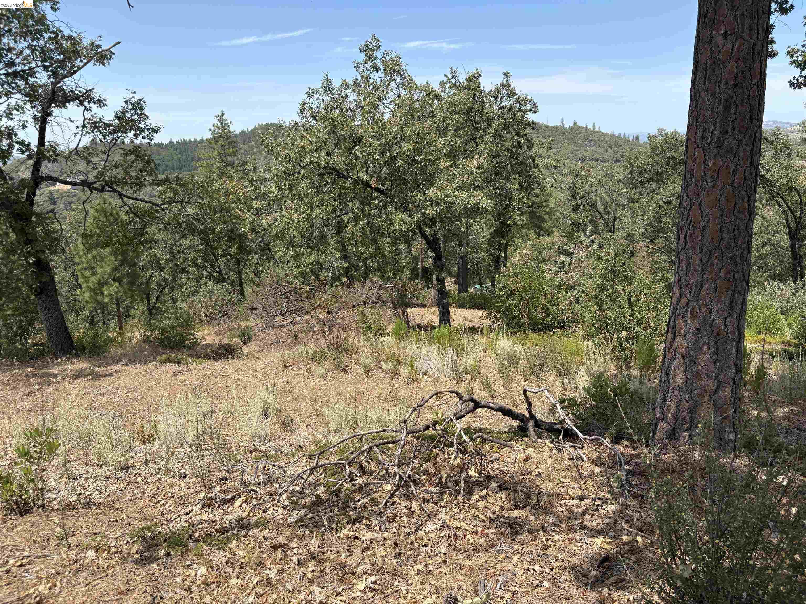 1440 Utica Powerhouse Rd, Murphys CA 95247 — photo 21
