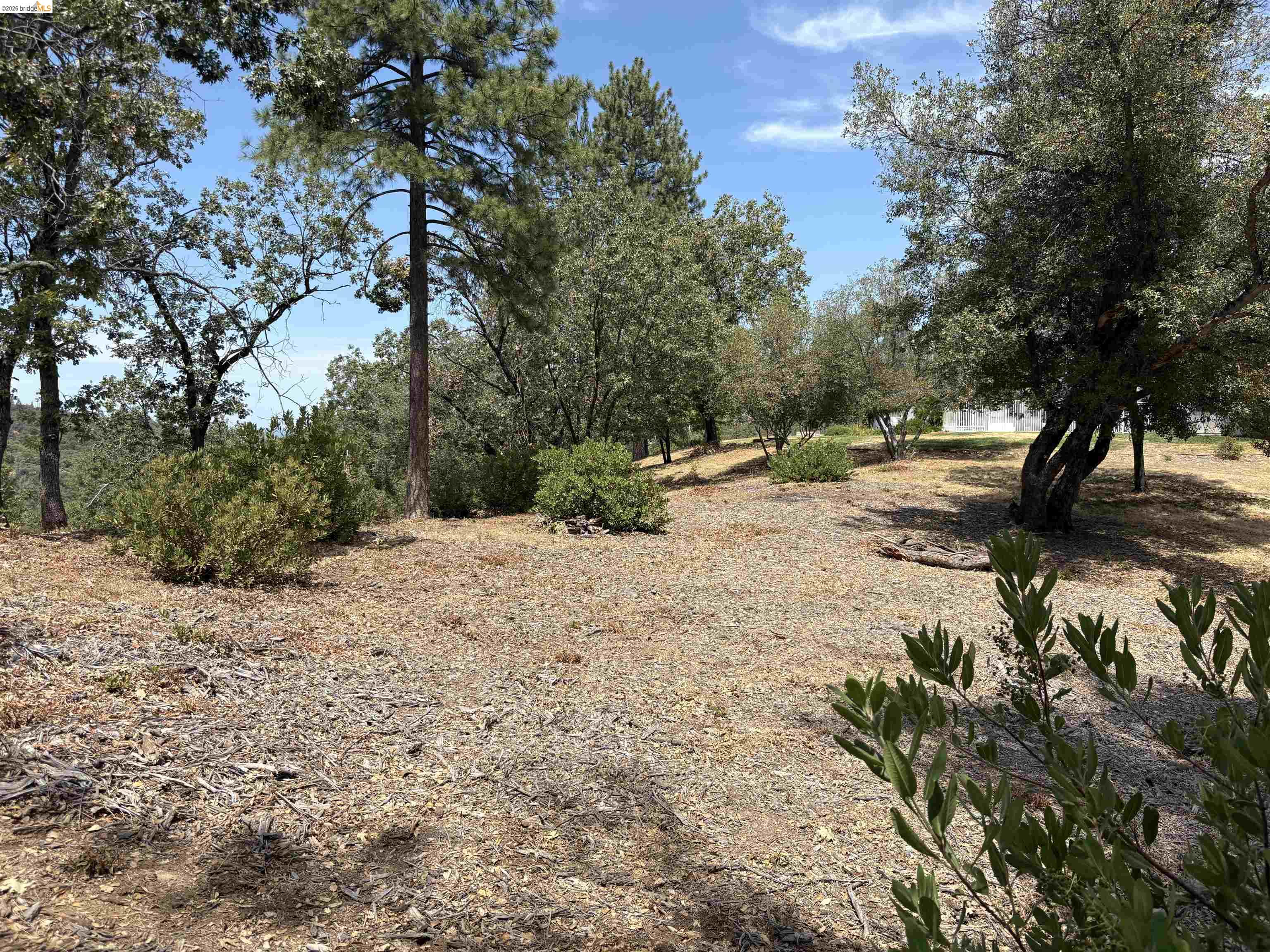 1440 Utica Powerhouse Rd, Murphys CA 95247 — photo 22