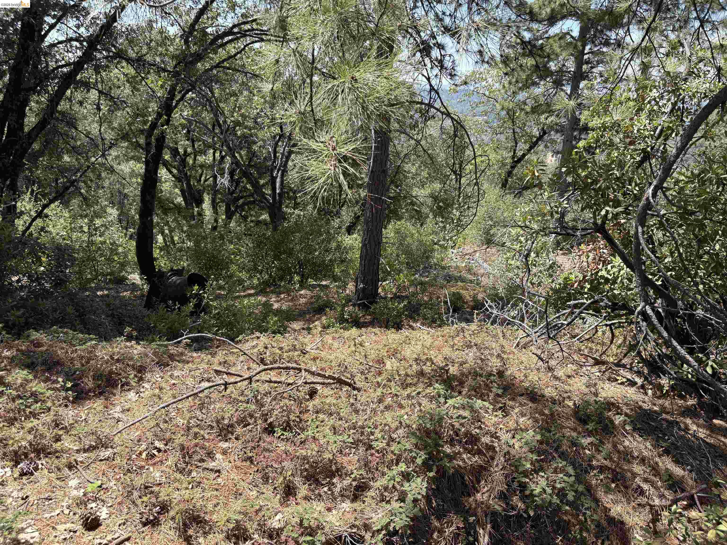 1440 Utica Powerhouse Rd, Murphys CA 95247 — photo 29