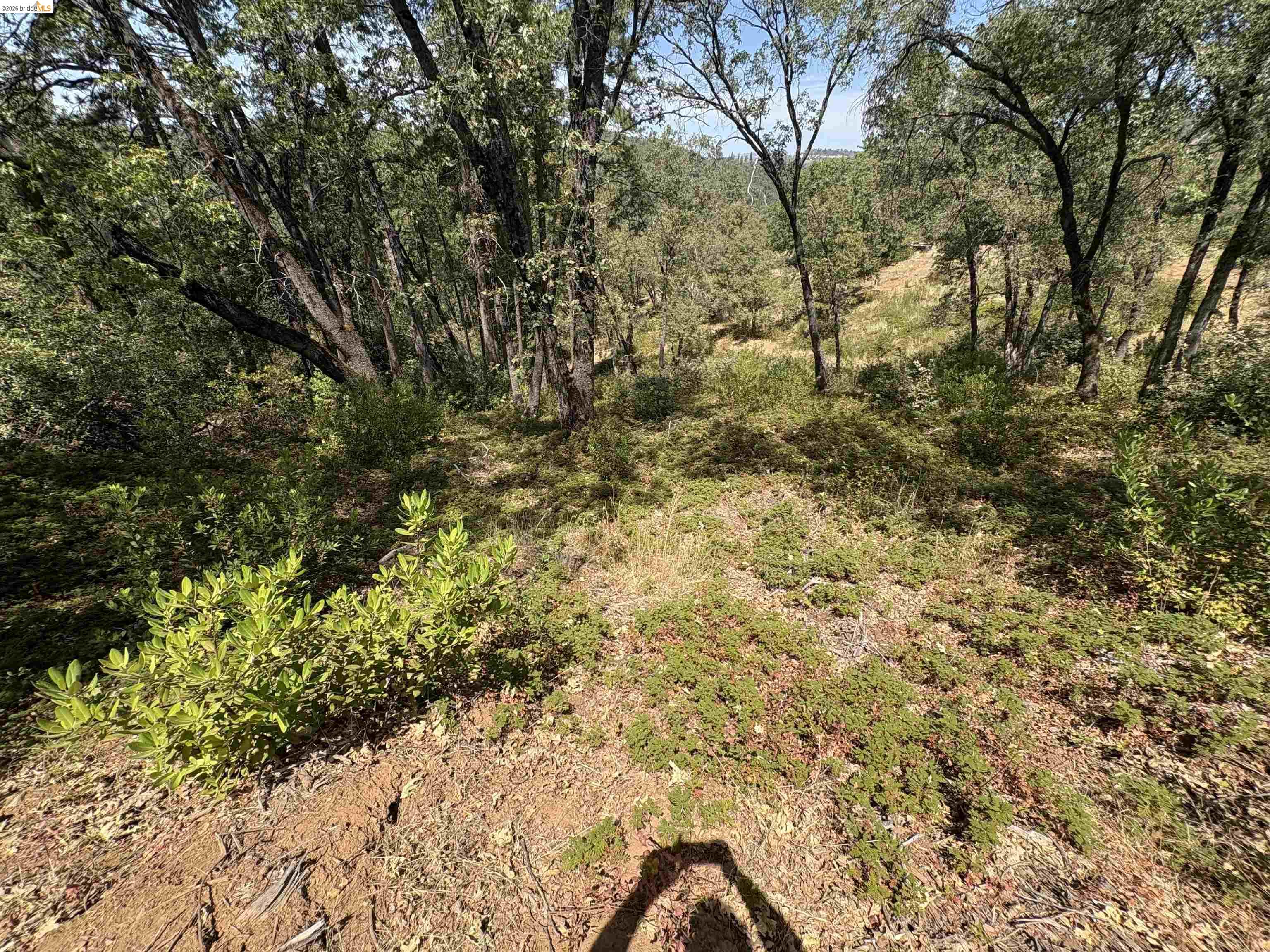 1440 Utica Powerhouse Rd, Murphys CA 95247 — photo 31