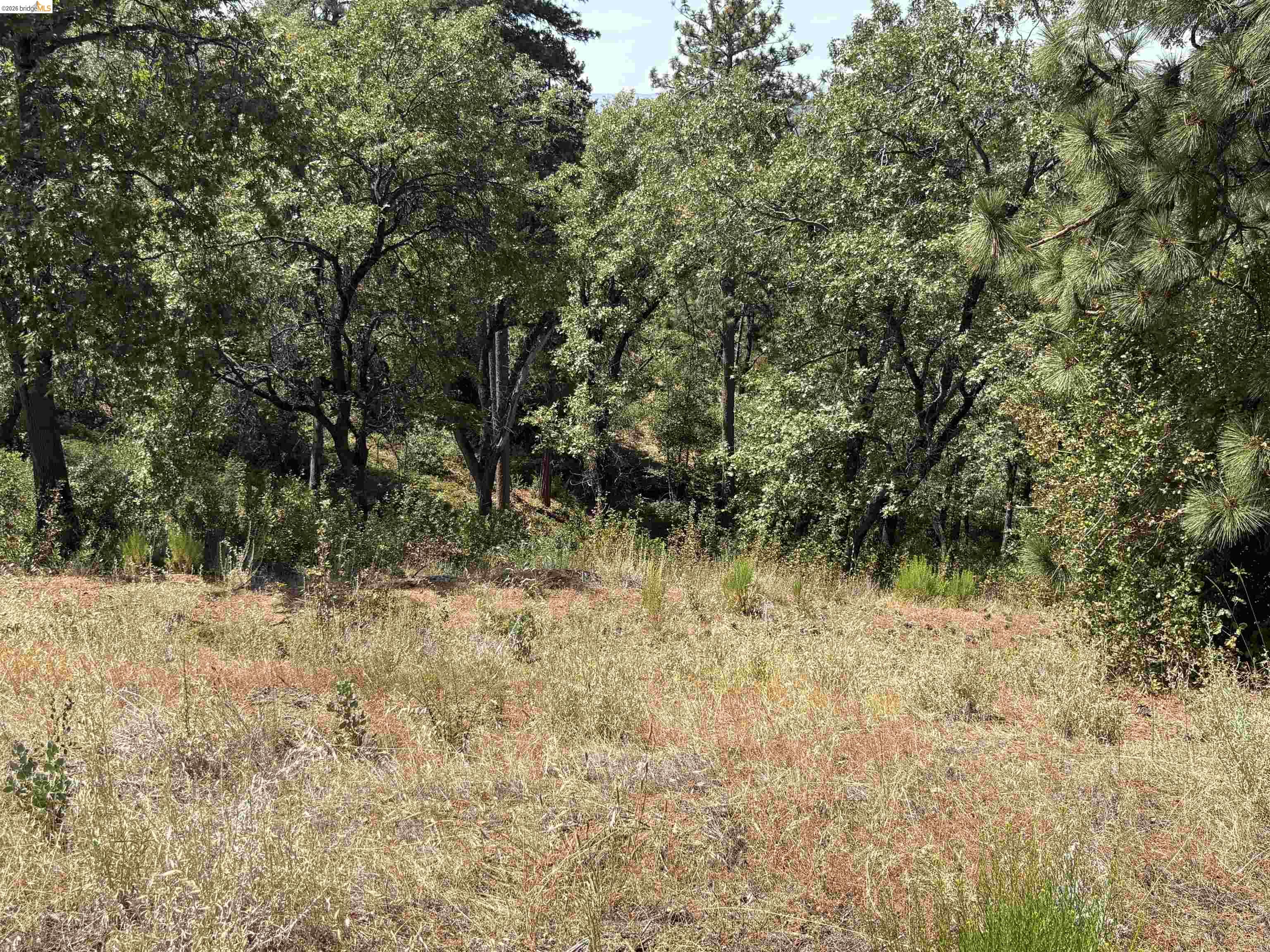1440 Utica Powerhouse Rd, Murphys CA 95247 — photo 36