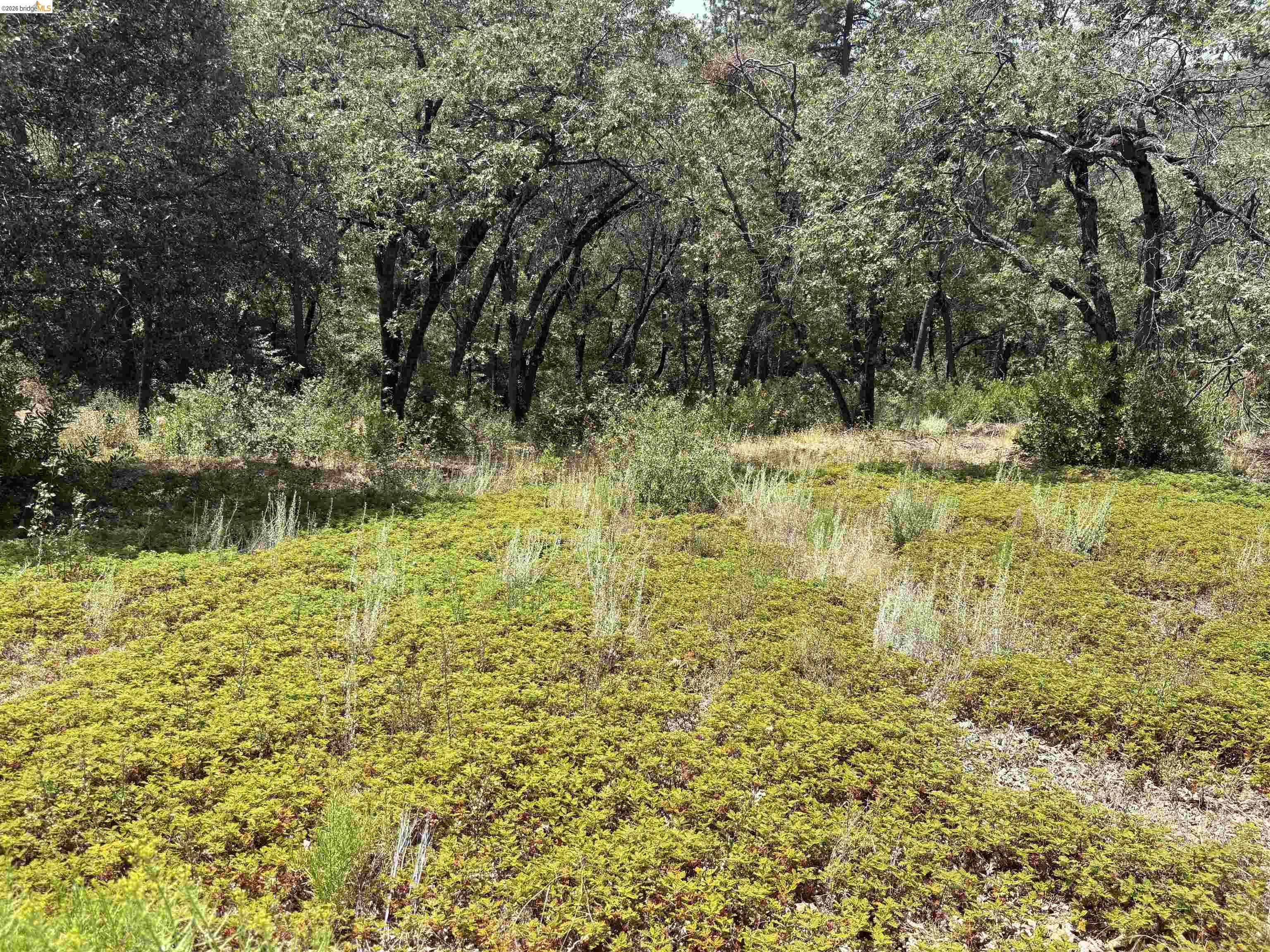 1440 Utica Powerhouse Rd, Murphys CA 95247 — photo 5