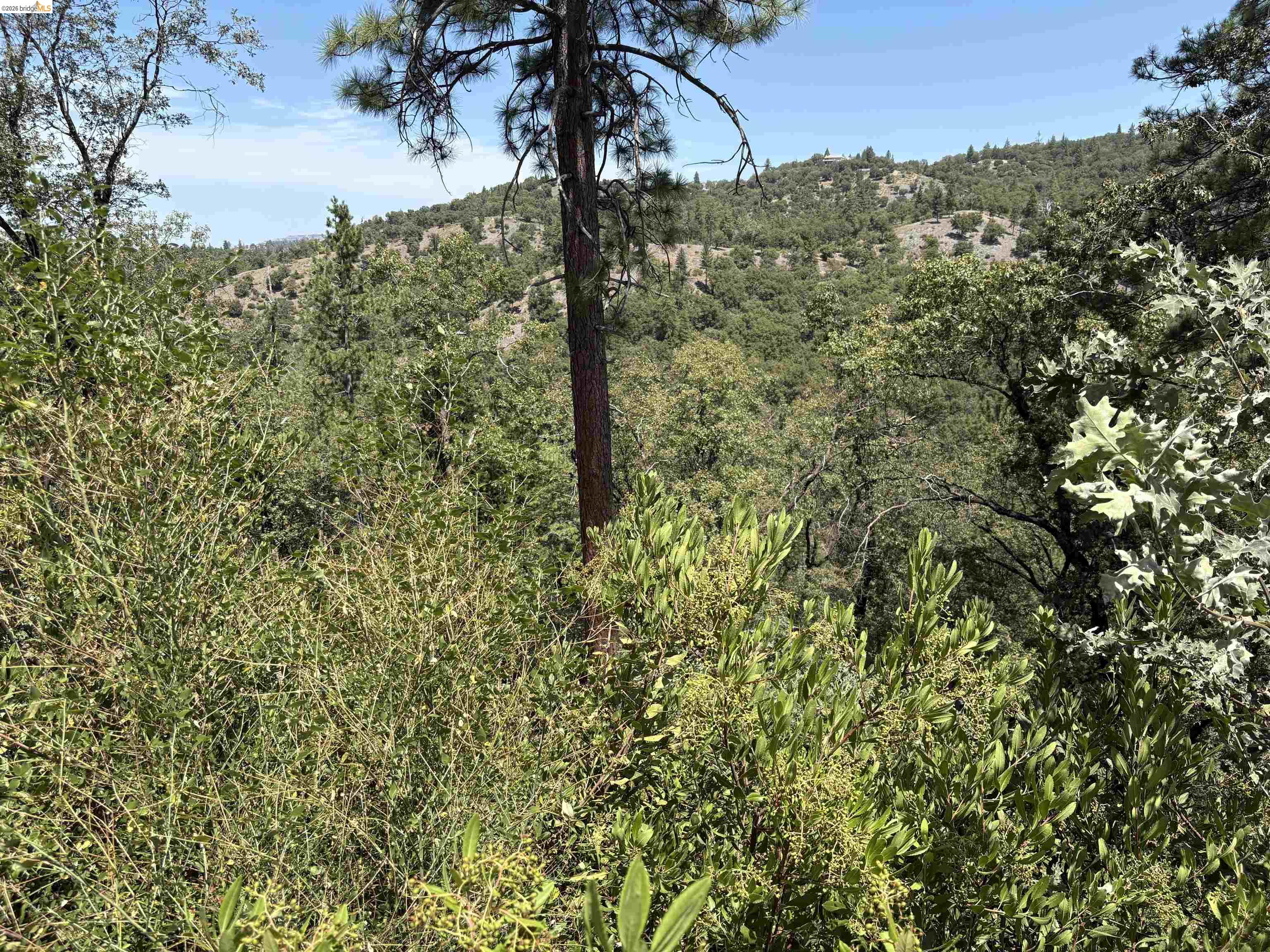 1440 Utica Powerhouse Rd, Murphys CA 95247 — photo 43