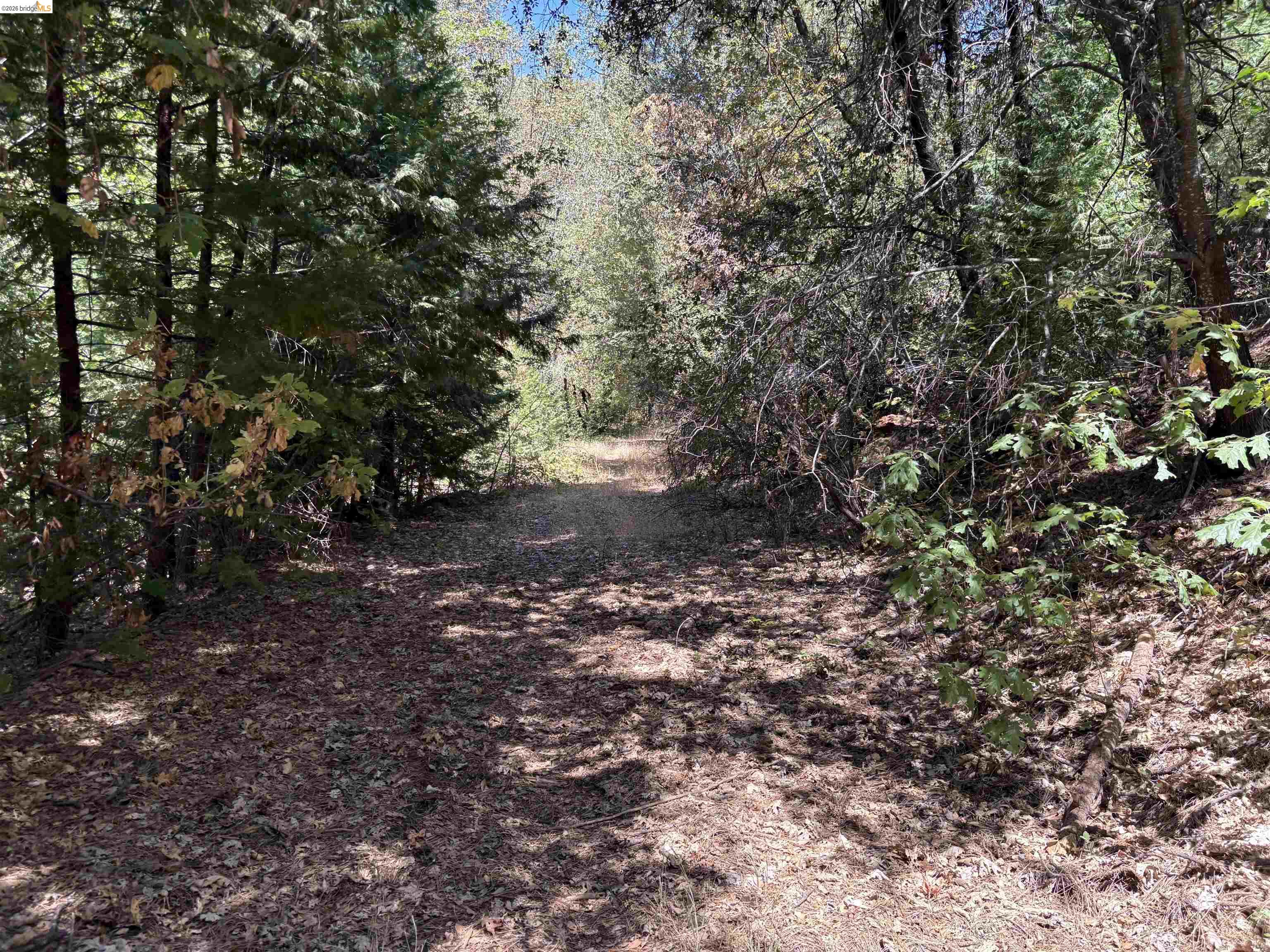1440 Utica Powerhouse Rd, Murphys CA 95247 — photo 46