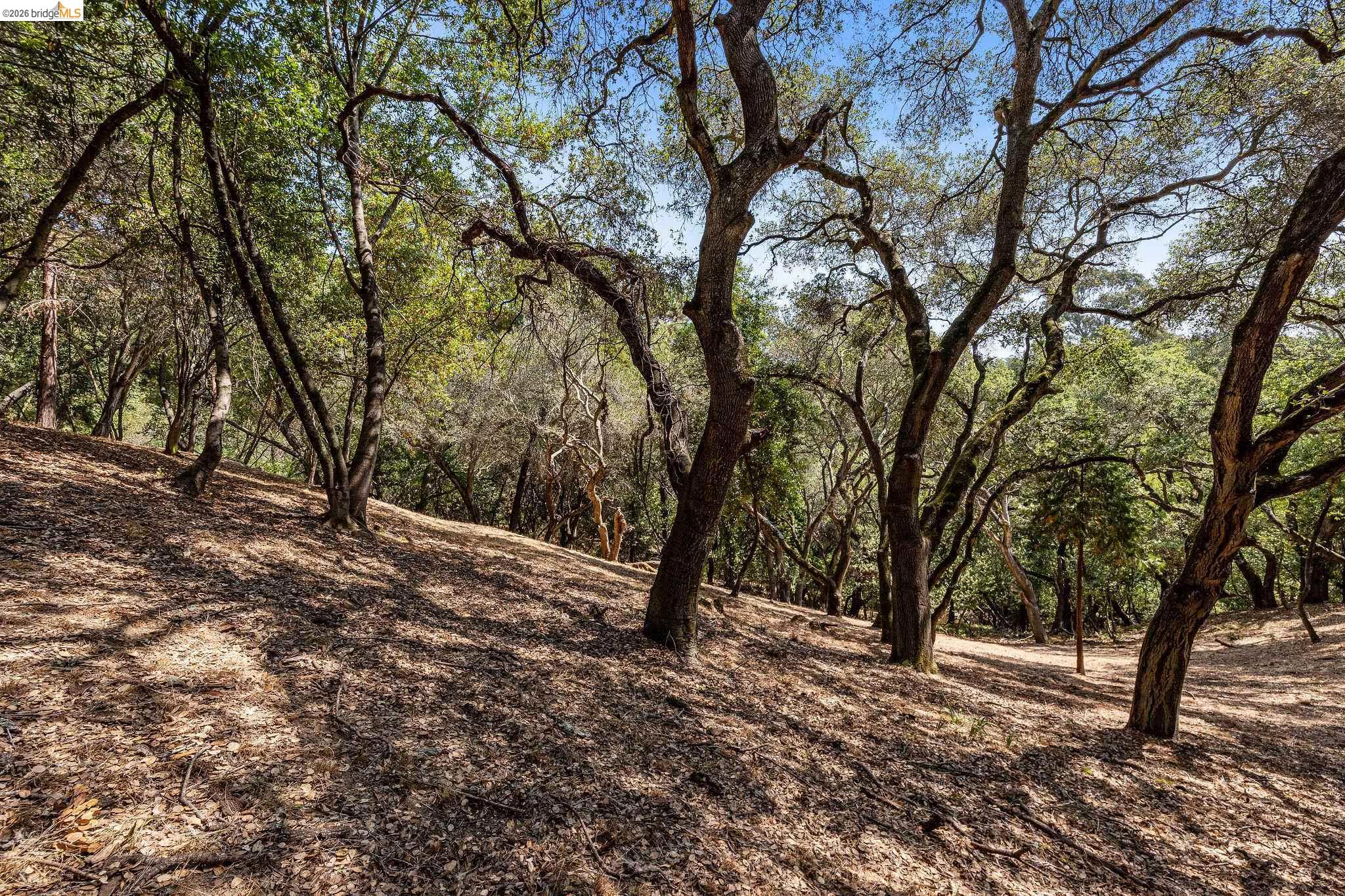 0 Mendenhall Rd, Oakland CA 94605 — photo 12