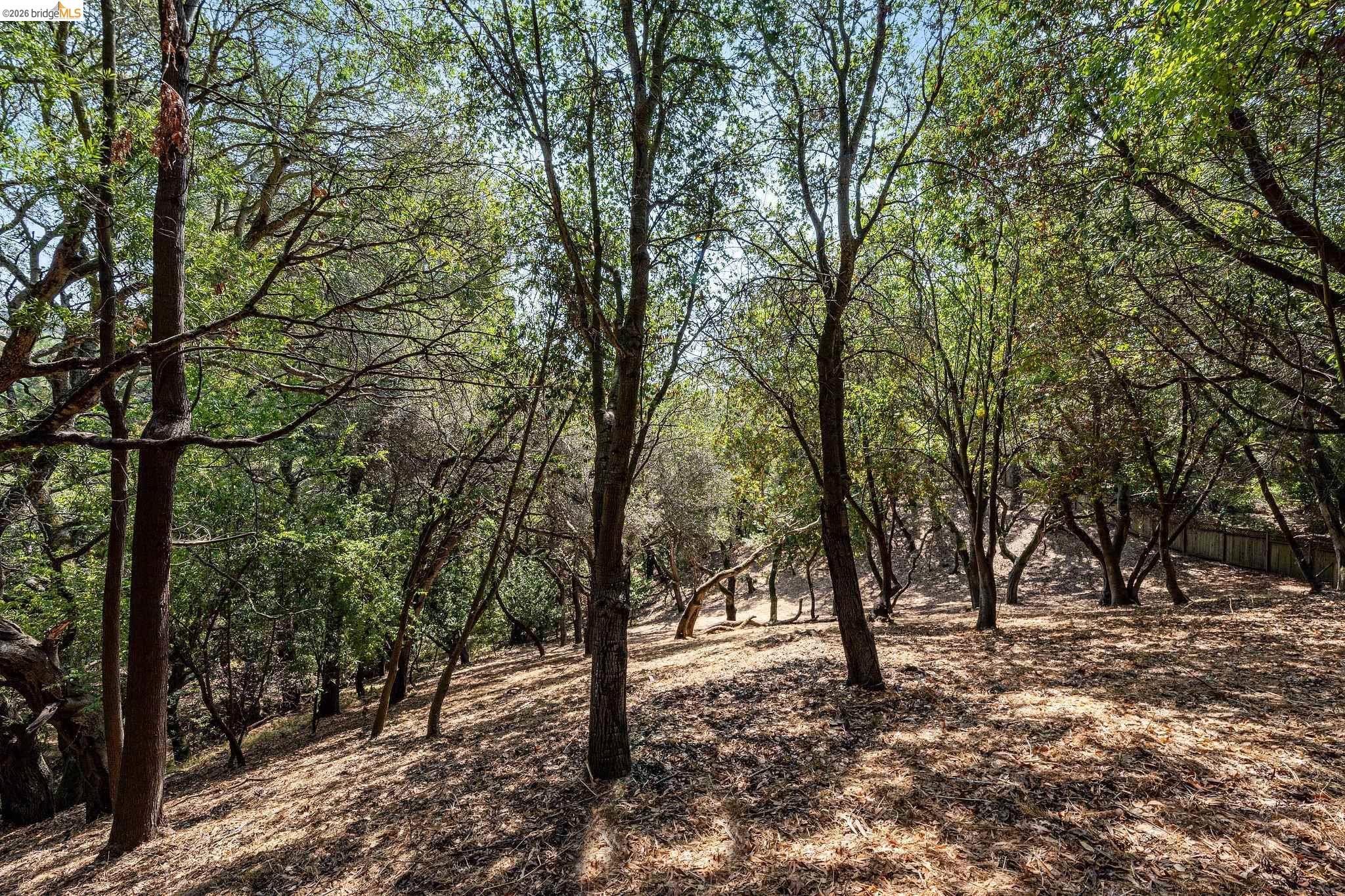 0 Mendenhall Rd, Oakland CA 94605 — photo 14