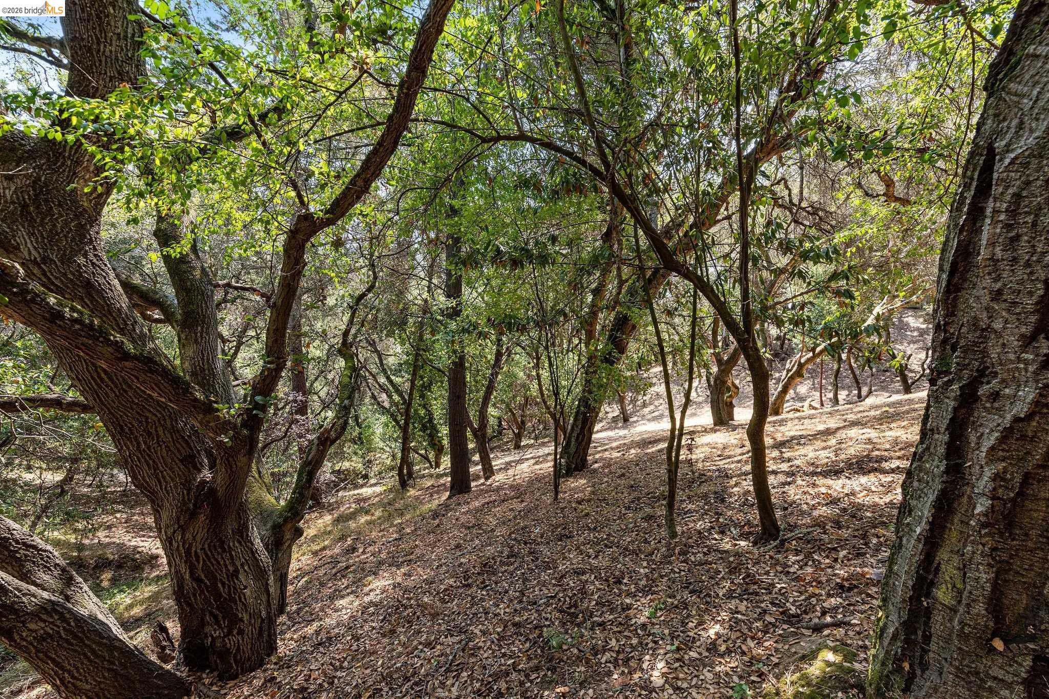 0 Mendenhall Rd, Oakland CA 94605 — photo 15