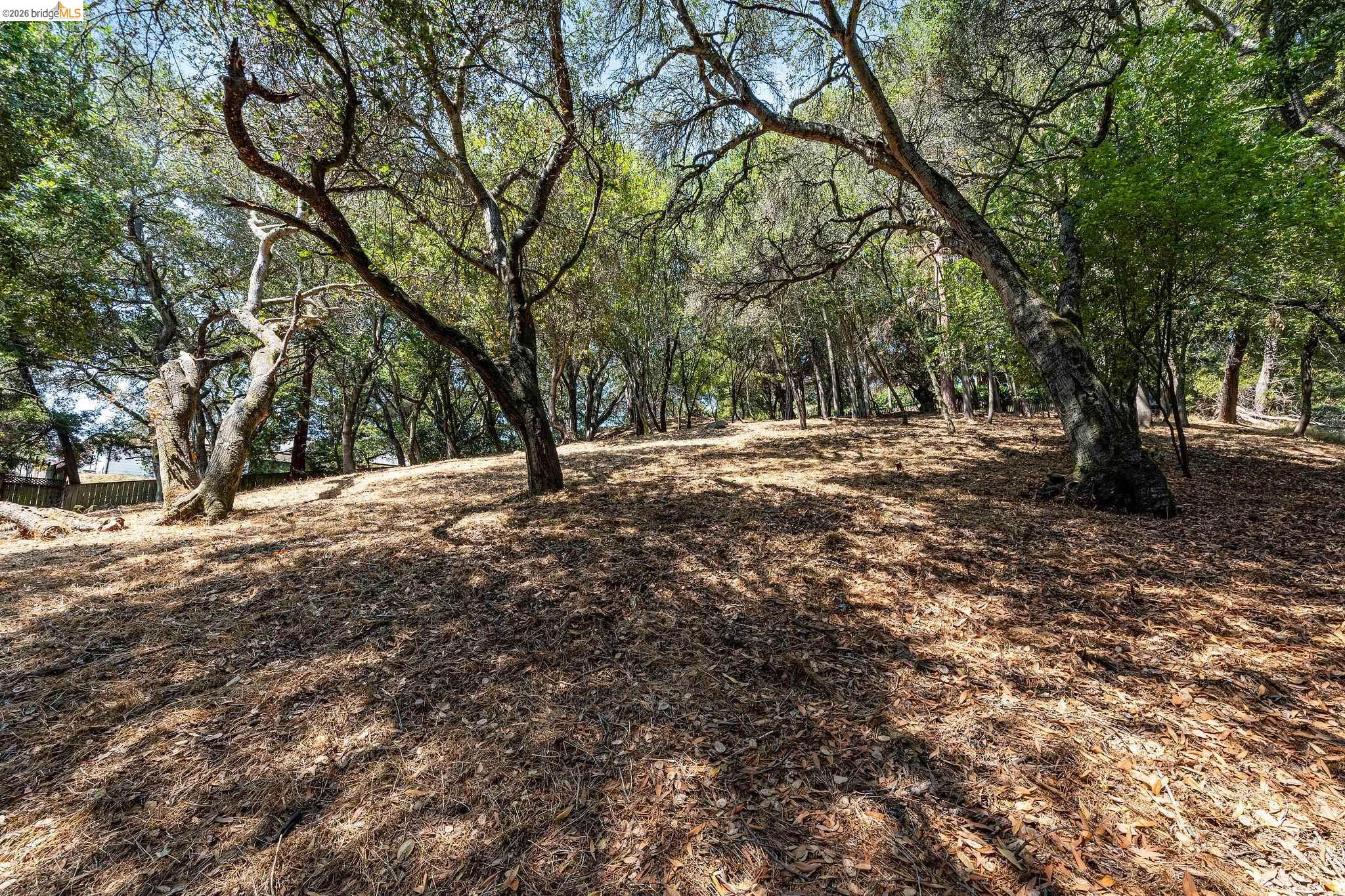 0 Mendenhall Rd, Oakland CA 94605 — photo 16