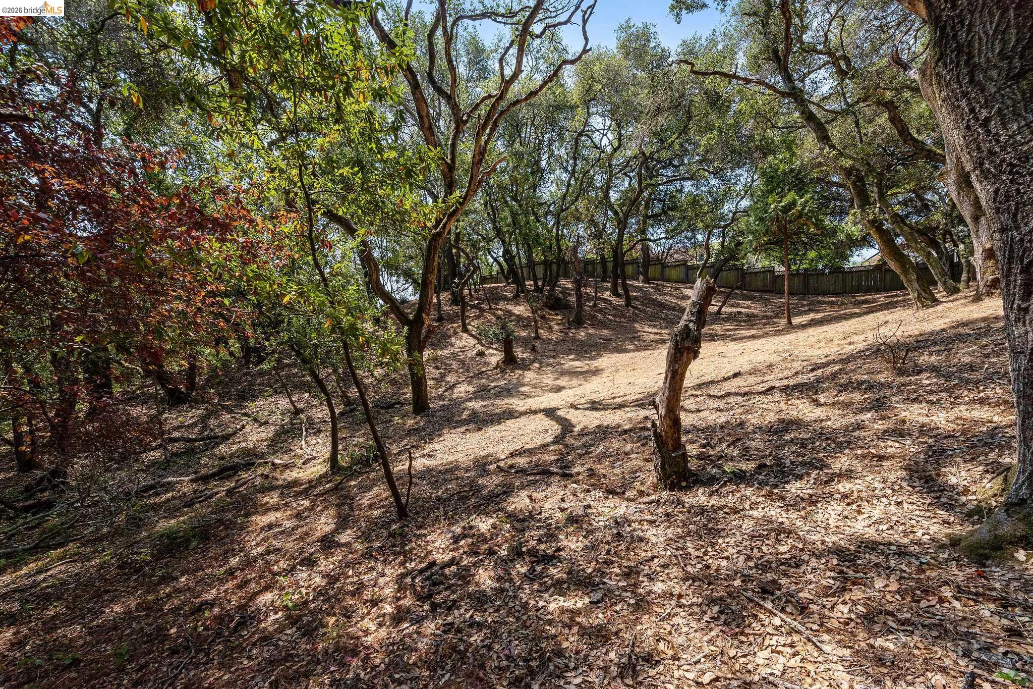 0 Mendenhall Rd, Oakland CA 94605 — photo 17
