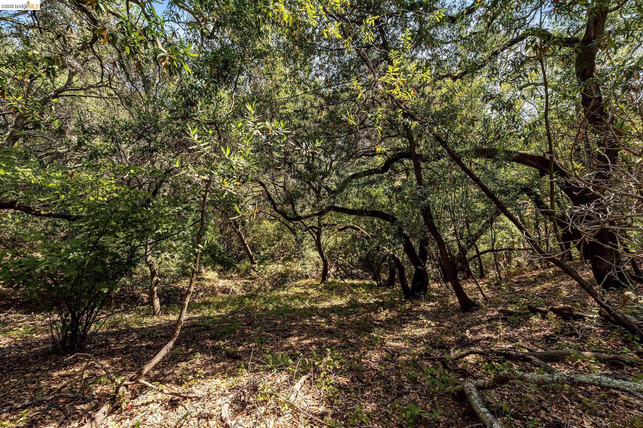 0 Mendenhall Rd, Oakland CA 94605 — photo 19