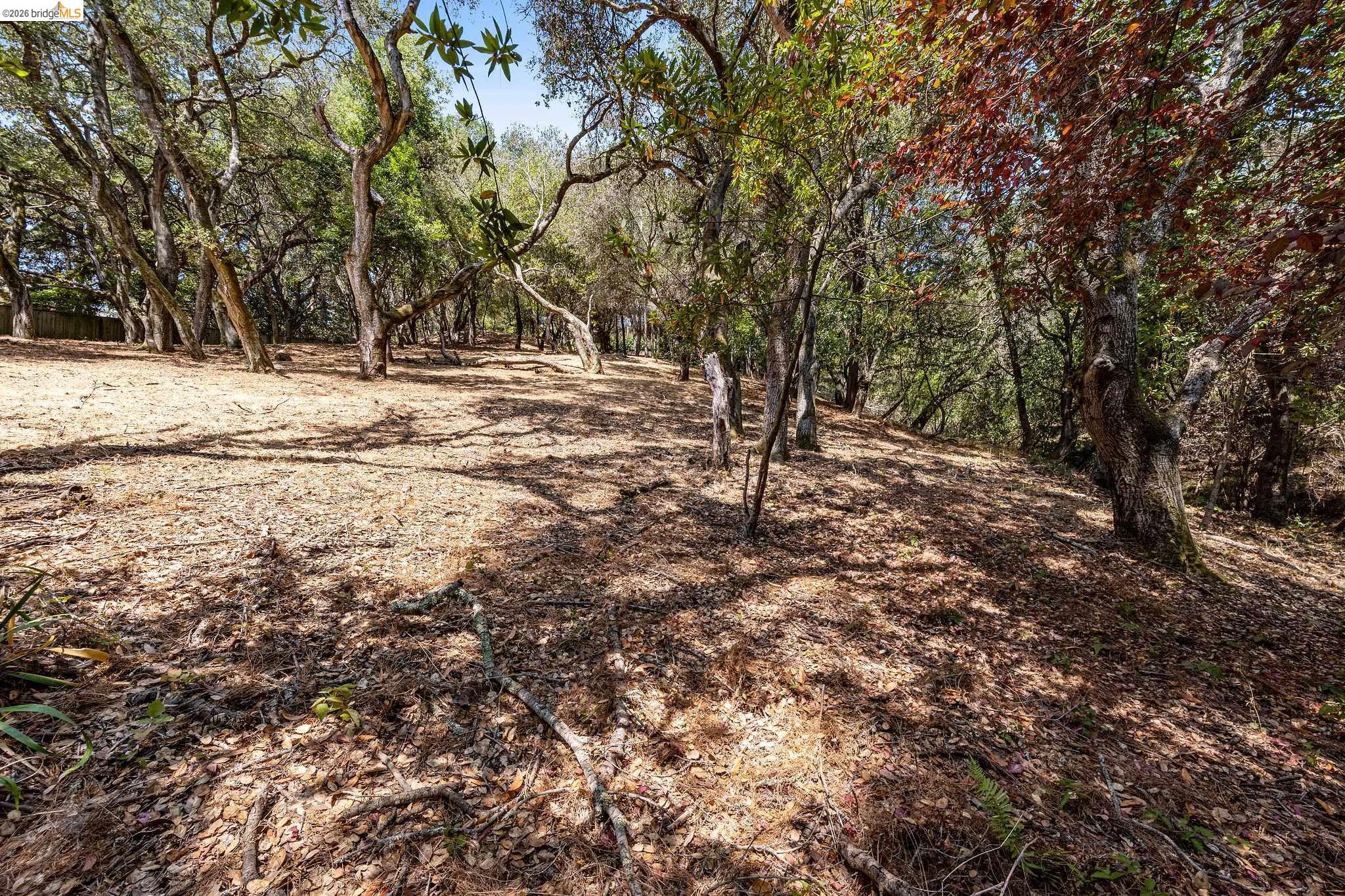0 Mendenhall Rd, Oakland CA 94605 — photo 21