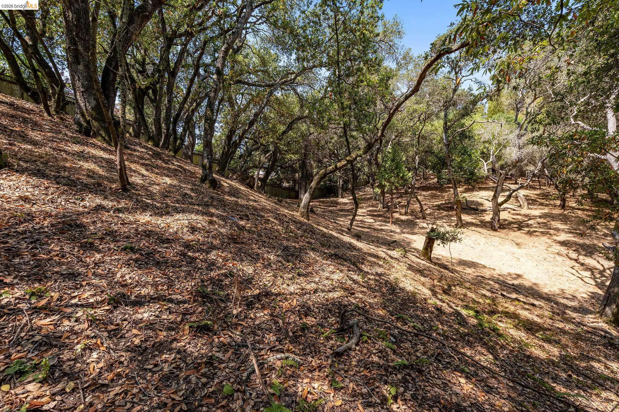 0 Mendenhall Rd, Oakland CA 94605 — photo 22