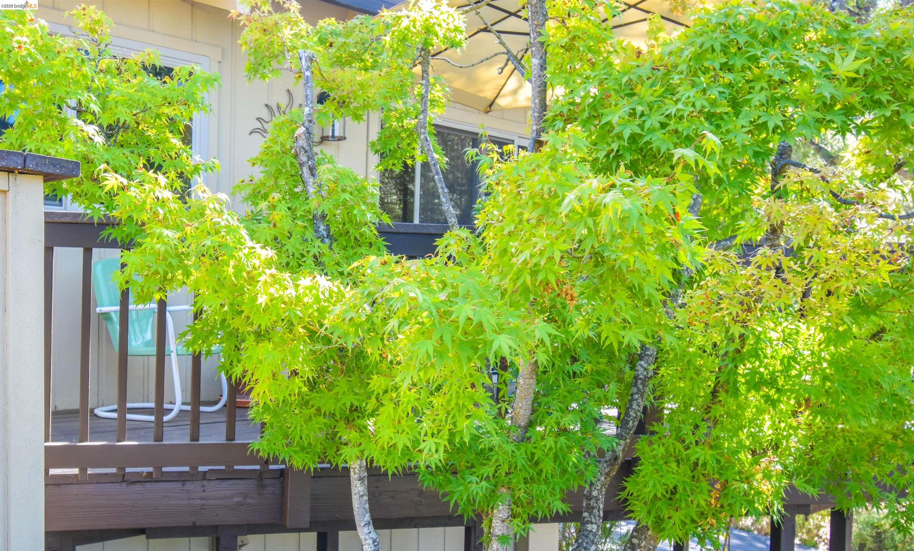 23101 Gold Springs Dr, Columbia CA 95310 — photo 38