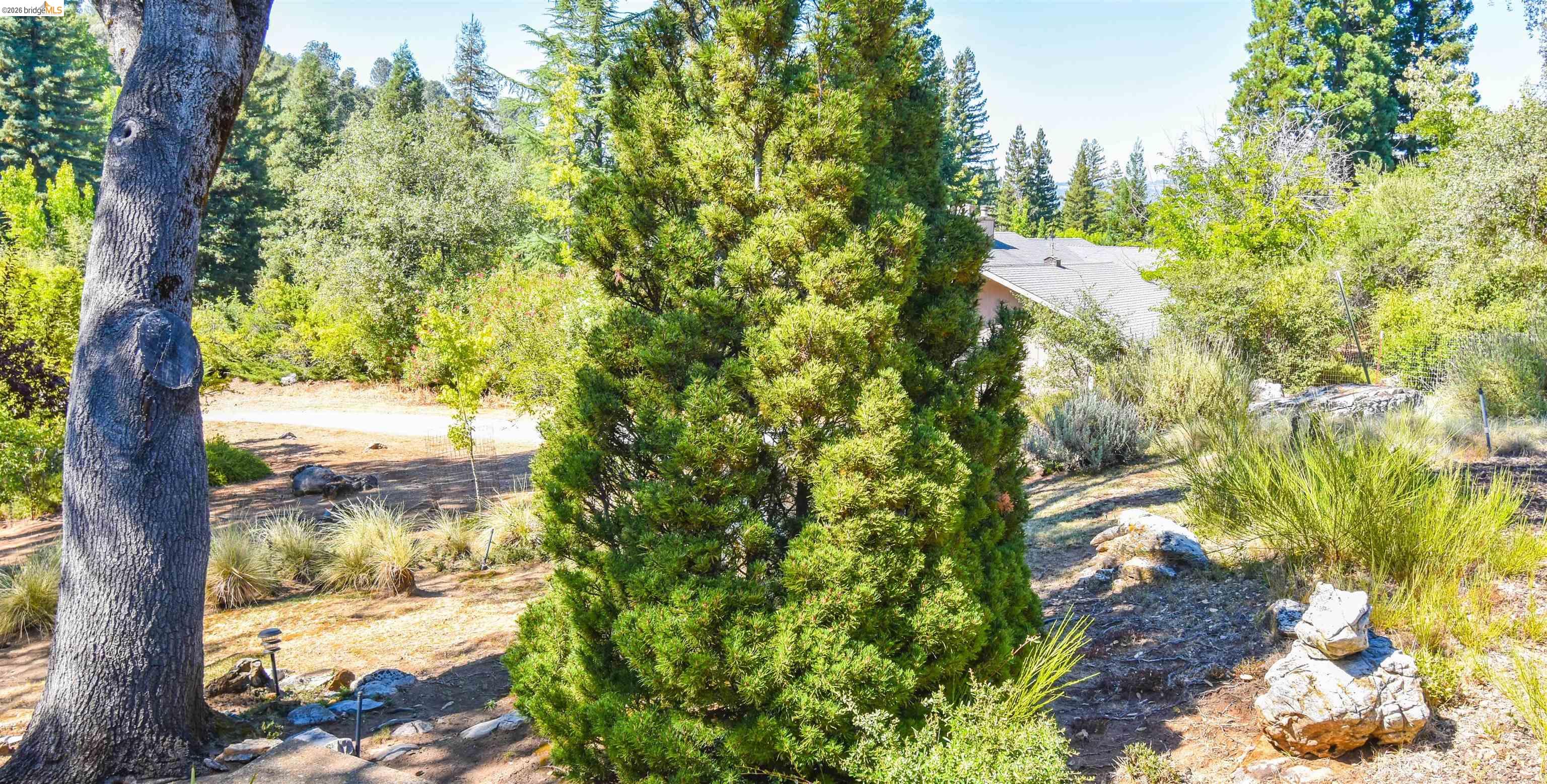 23101 Gold Springs Dr, Columbia CA 95310 — photo 45