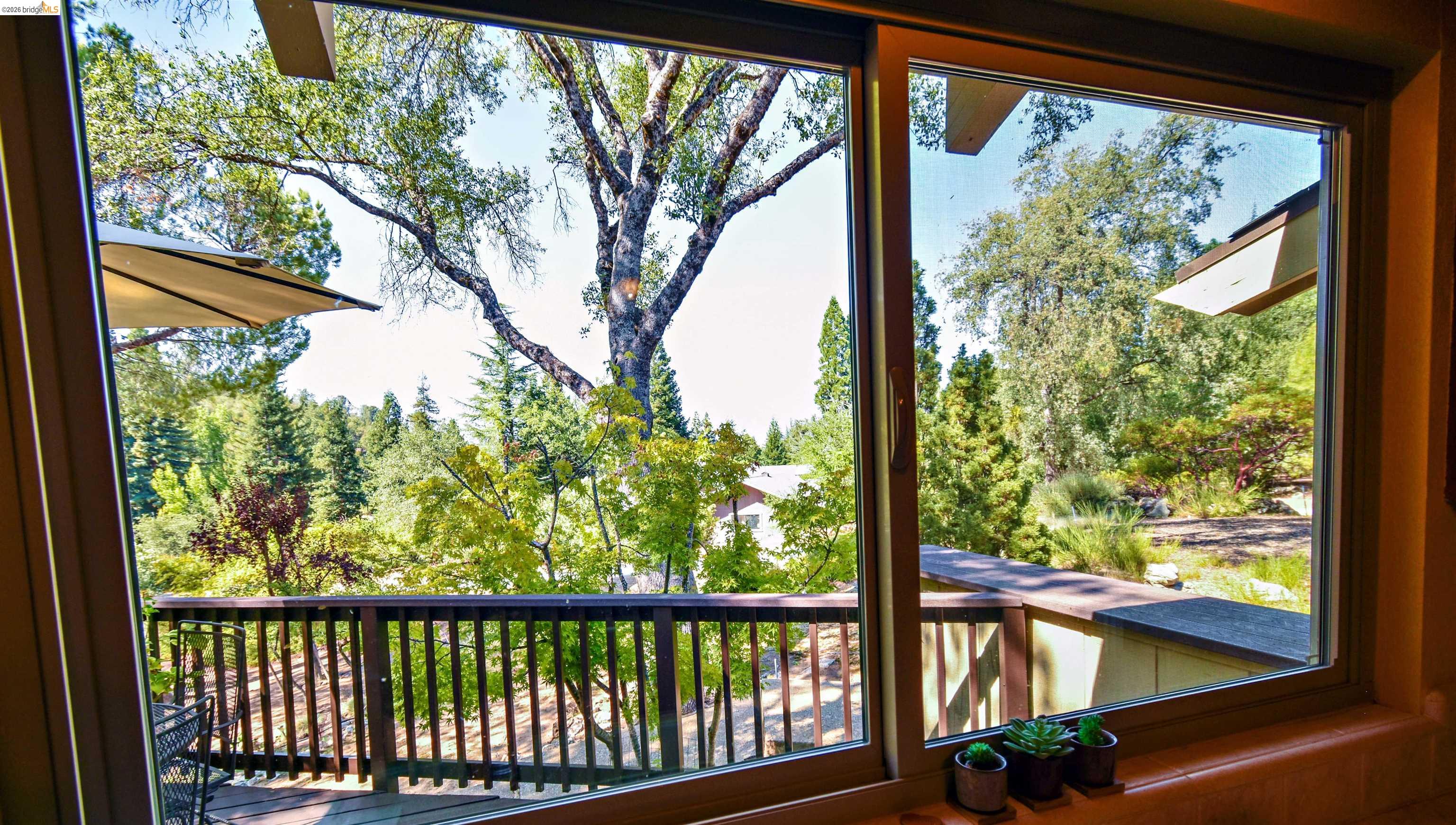 23101 Gold Springs Dr, Columbia CA 95310 — photo 9