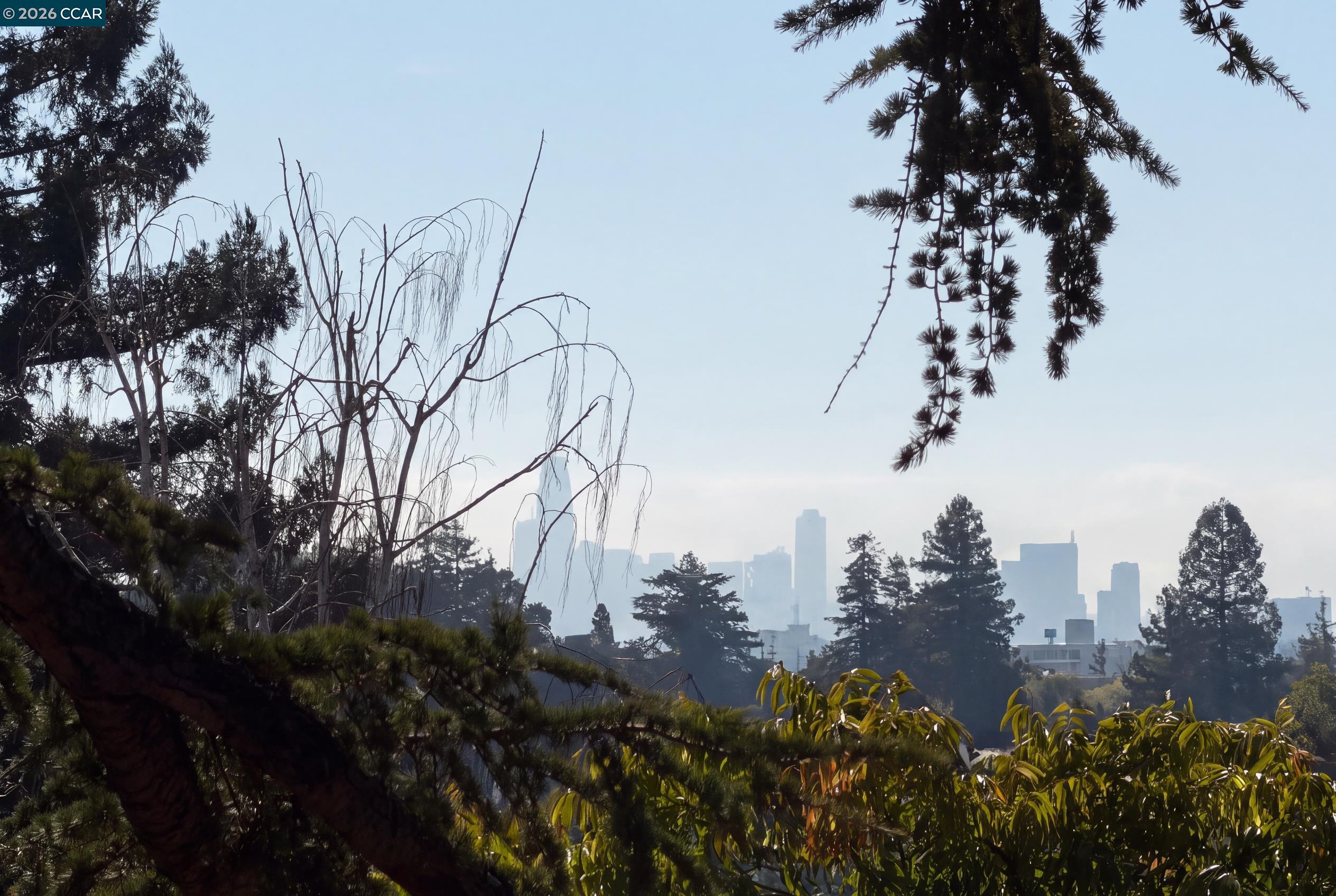362 Magnolia Ave, Piedmont CA 94611 — photo 15