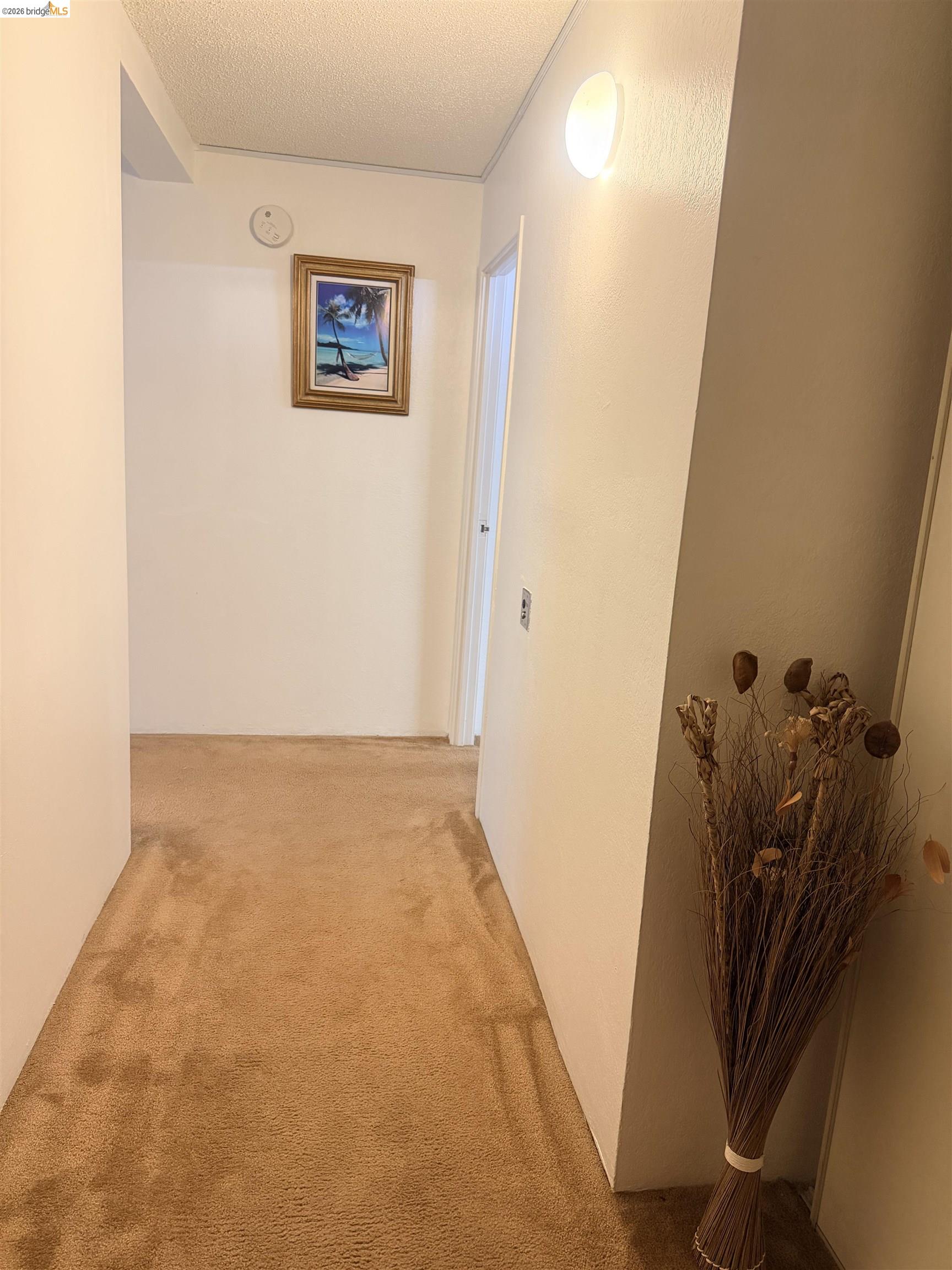 555 Pierce St # 1021, Albany CA 94706 — photo 19