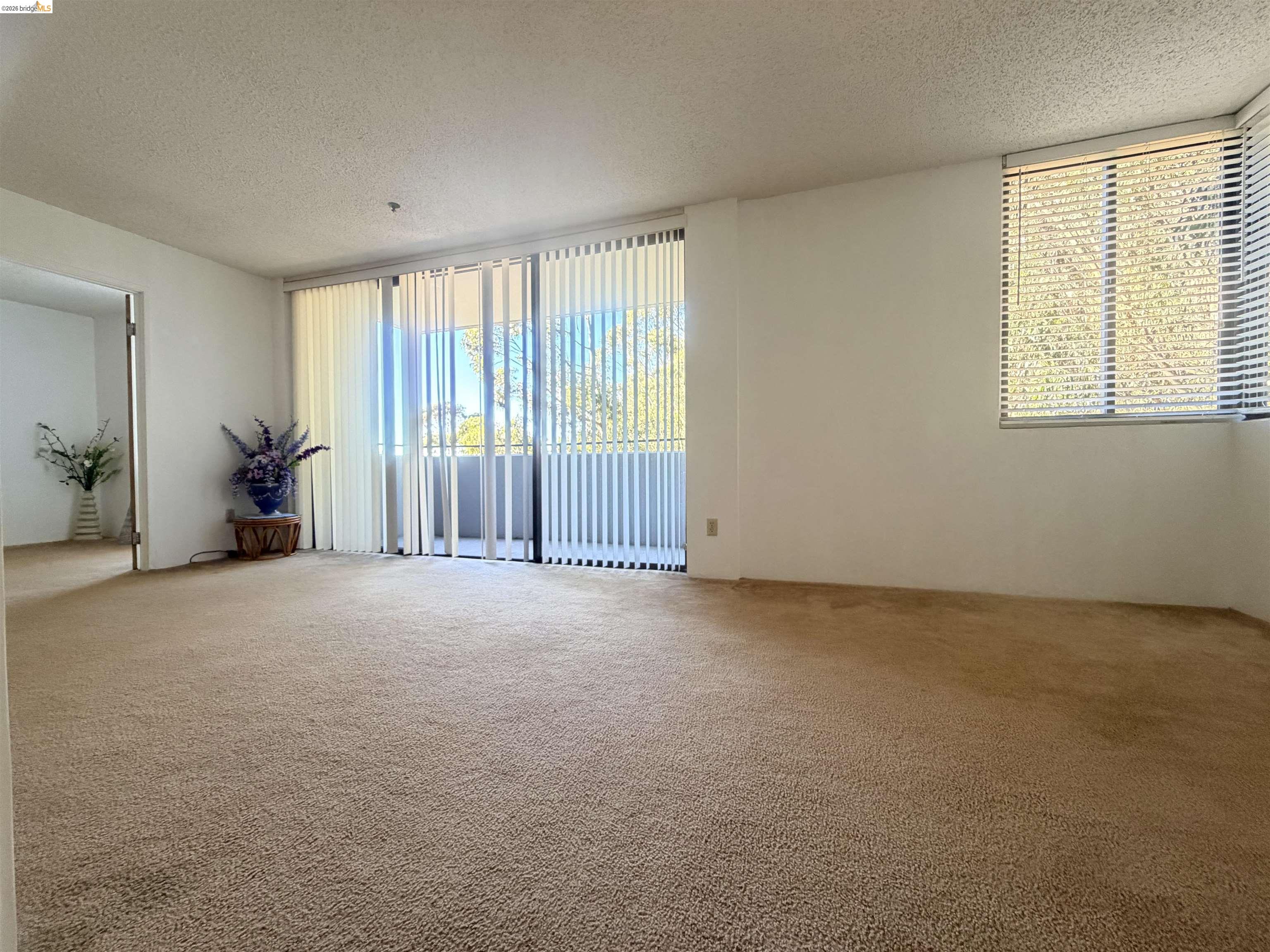 555 Pierce St # 1021, Albany CA 94706 — photo 30