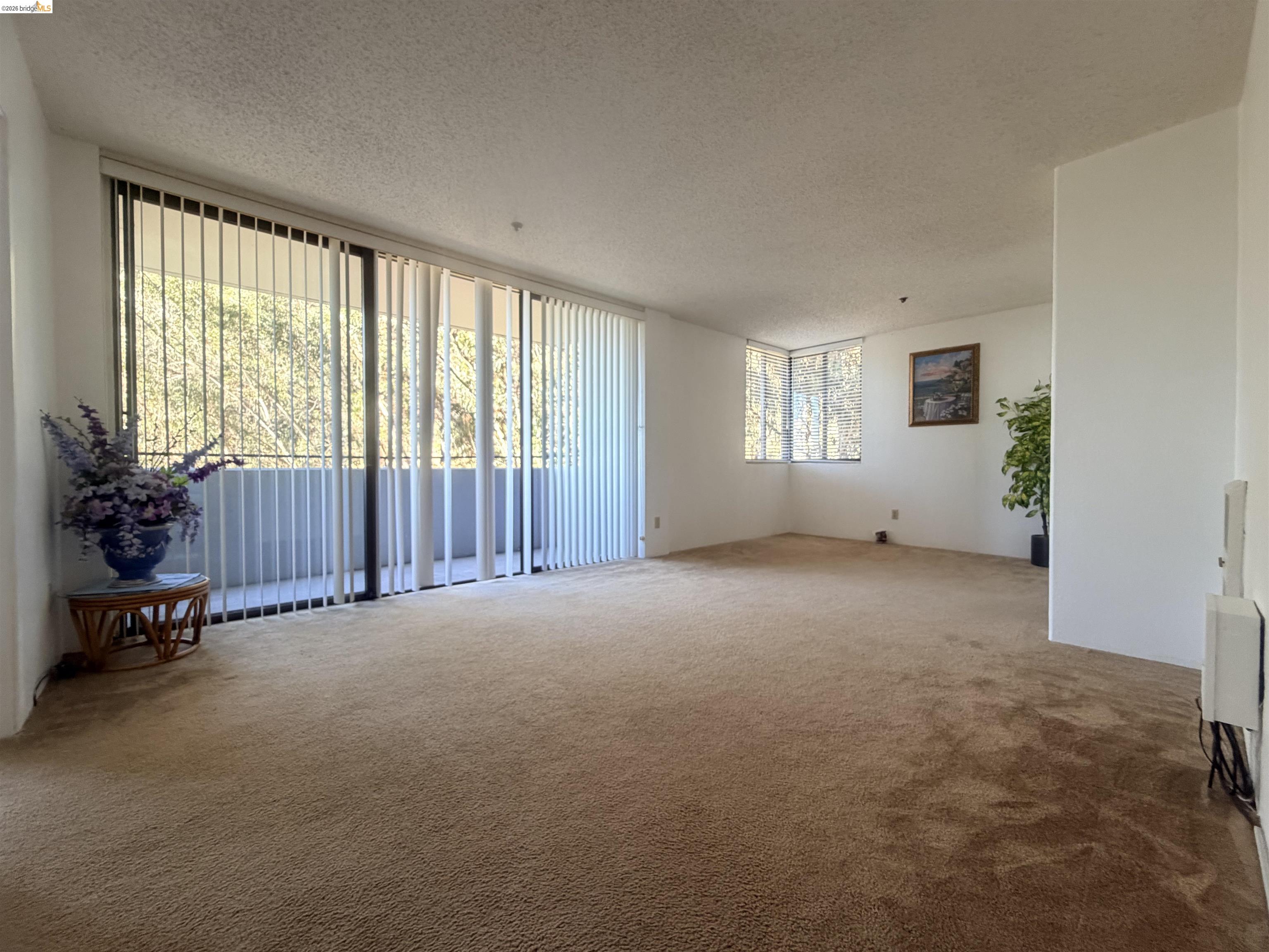 555 Pierce St # 1021, Albany CA 94706 — photo 32