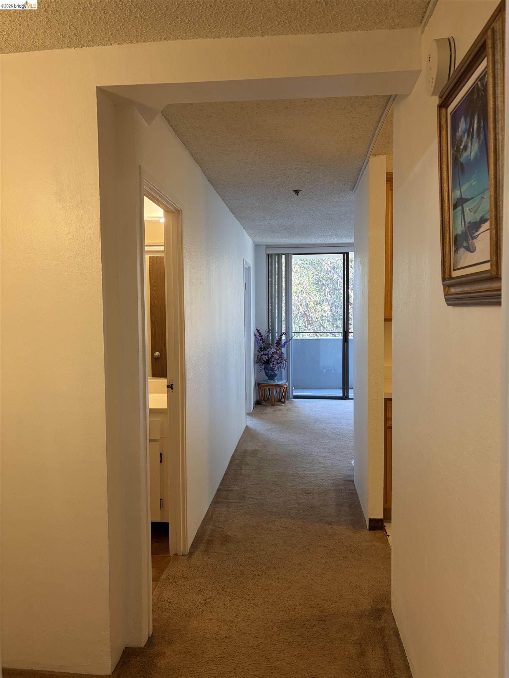 555 Pierce St # 1021, Albany CA 94706 — photo 8