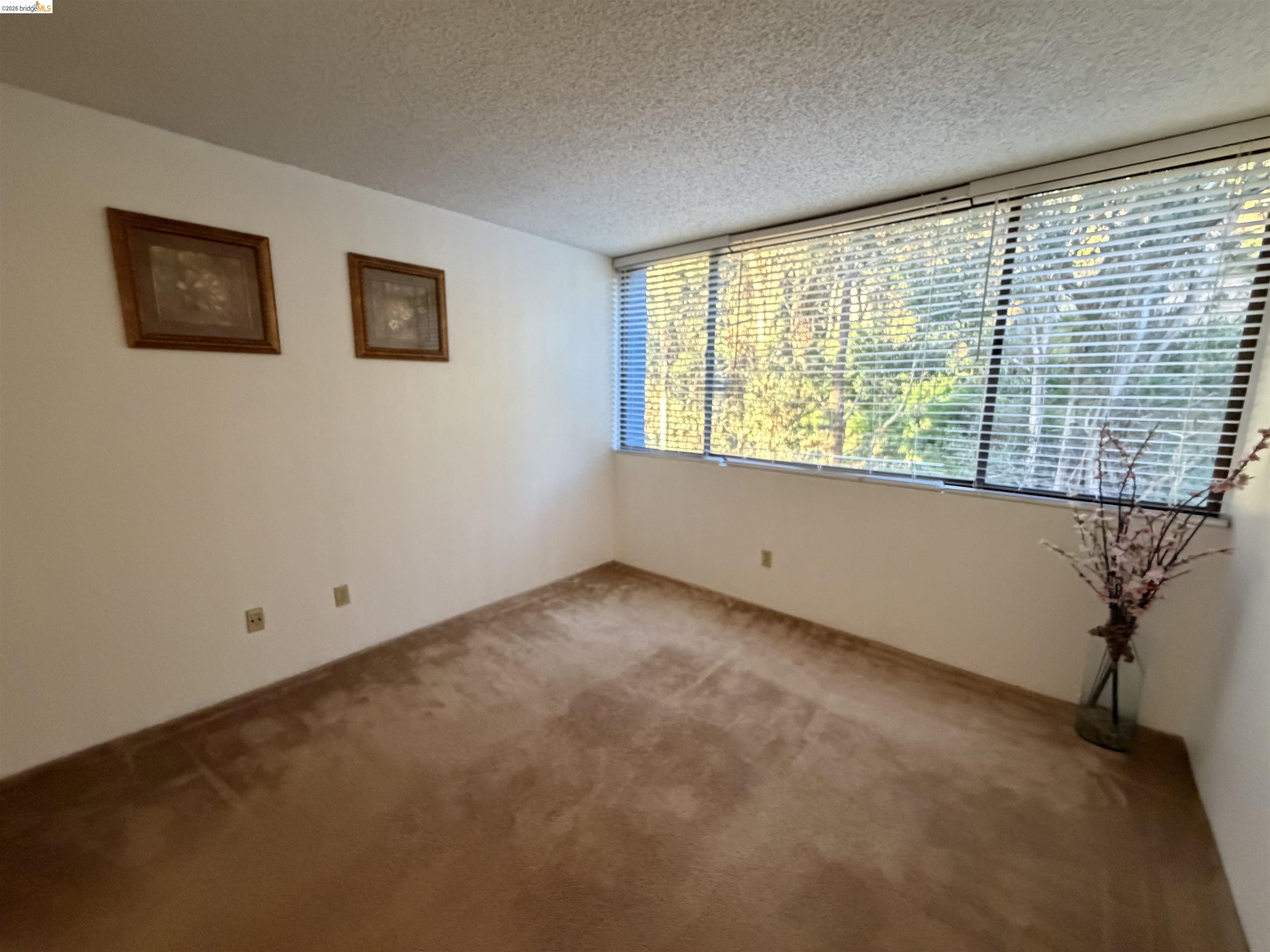 555 Pierce St # 1021, Albany CA 94706 — photo 9