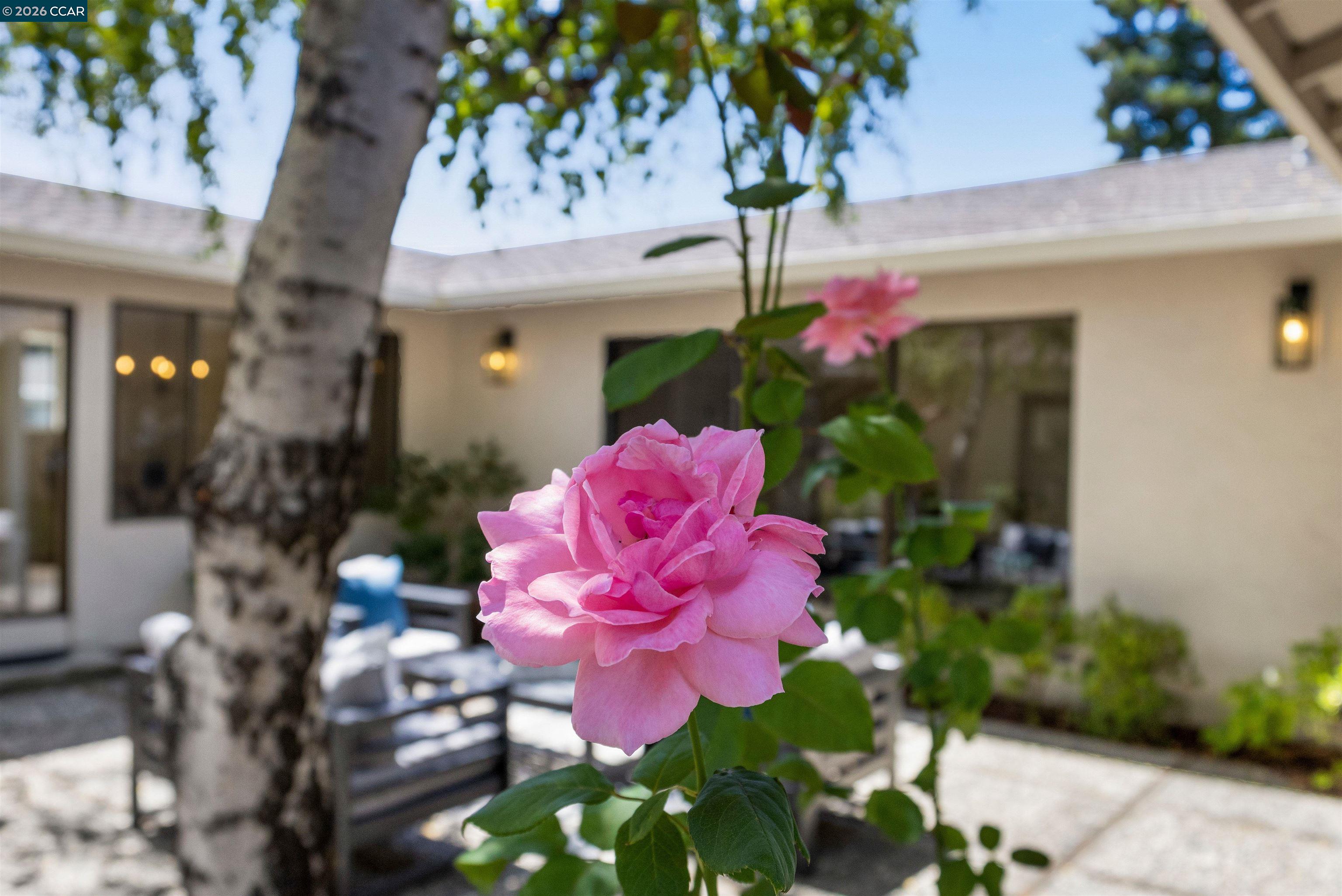 761 Pagosa Ct, Danville CA 94526 — photo 30