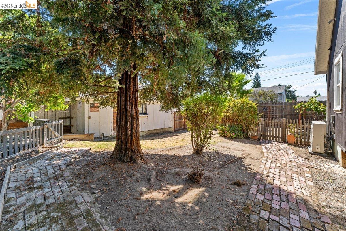 1202 Plaza Dr., Martinez CA 94553 — photo 51