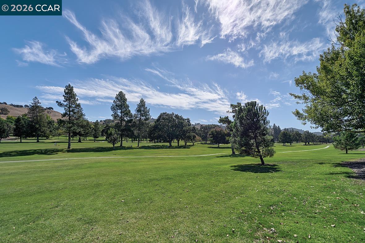 Front Image Thumbnail for CC41146073