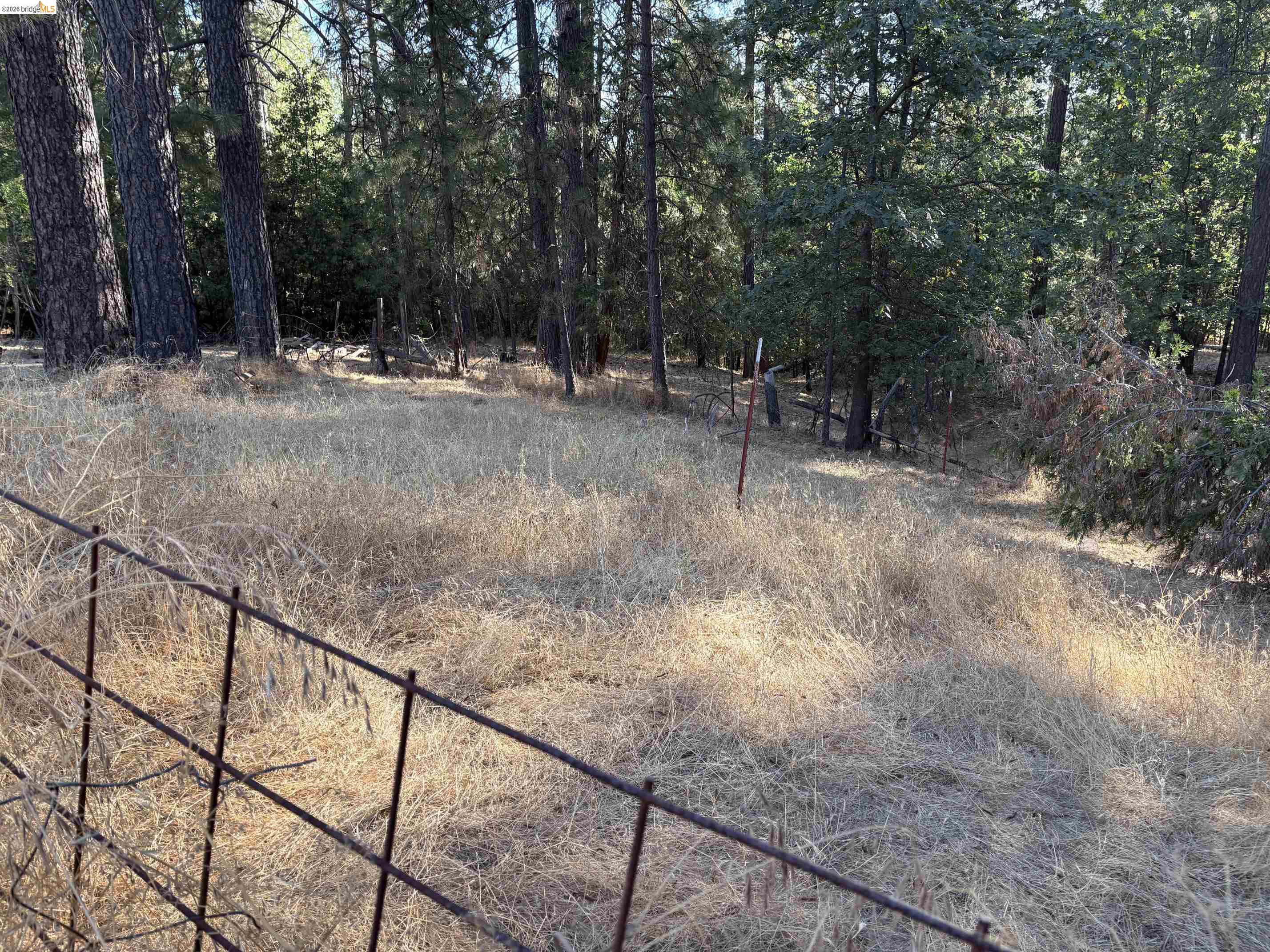 10162 Holtzel Road, Coulterville CA 95311 — photo 5