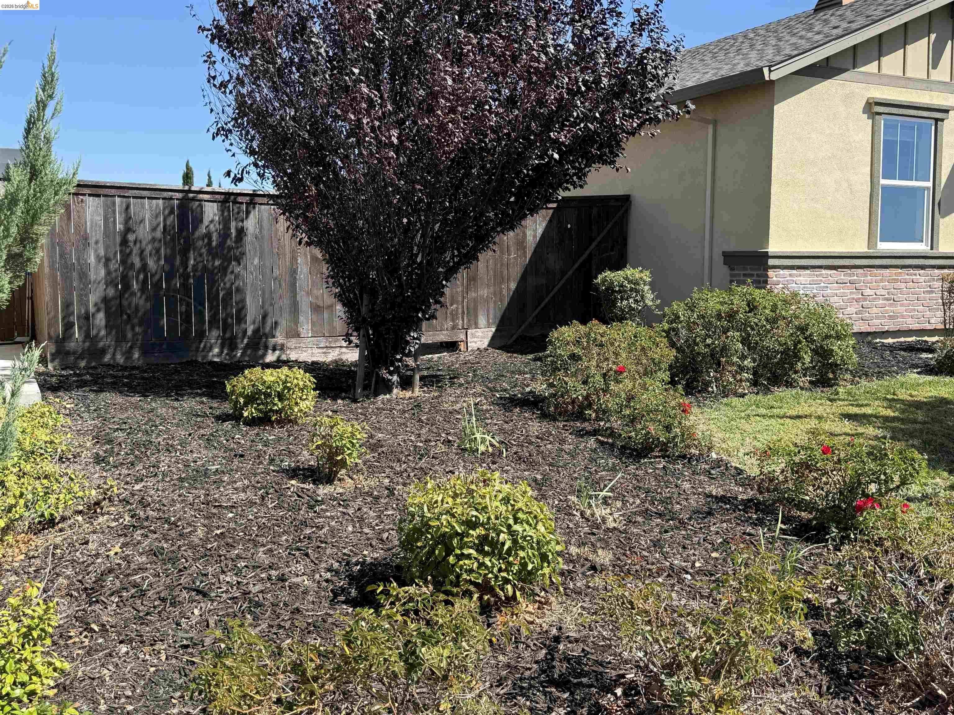 4436 Artisan Path, Rio Vista, CA 94571 photo 2