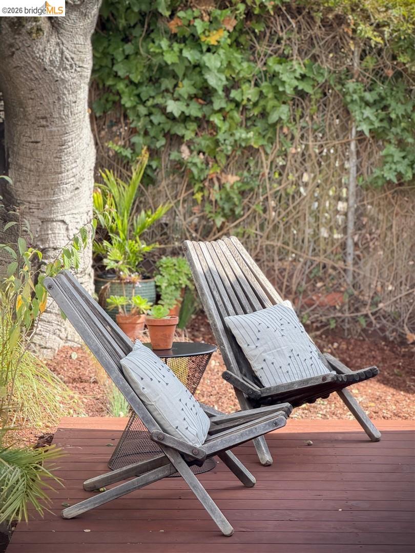 355 Arlington Ave, Berkeley CA 94707 — photo 34