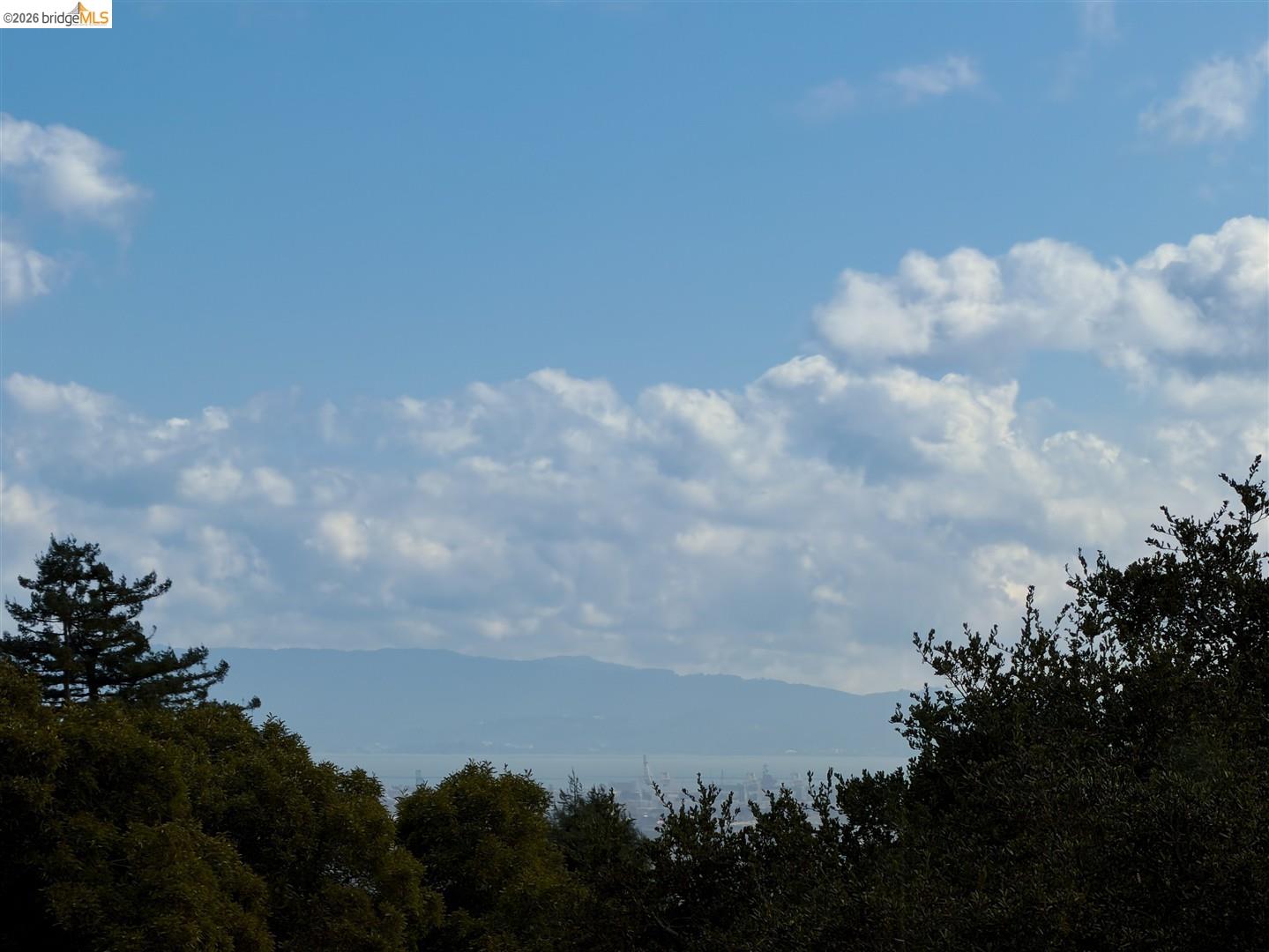 355 Arlington Ave, Berkeley CA 94707 — photo 45