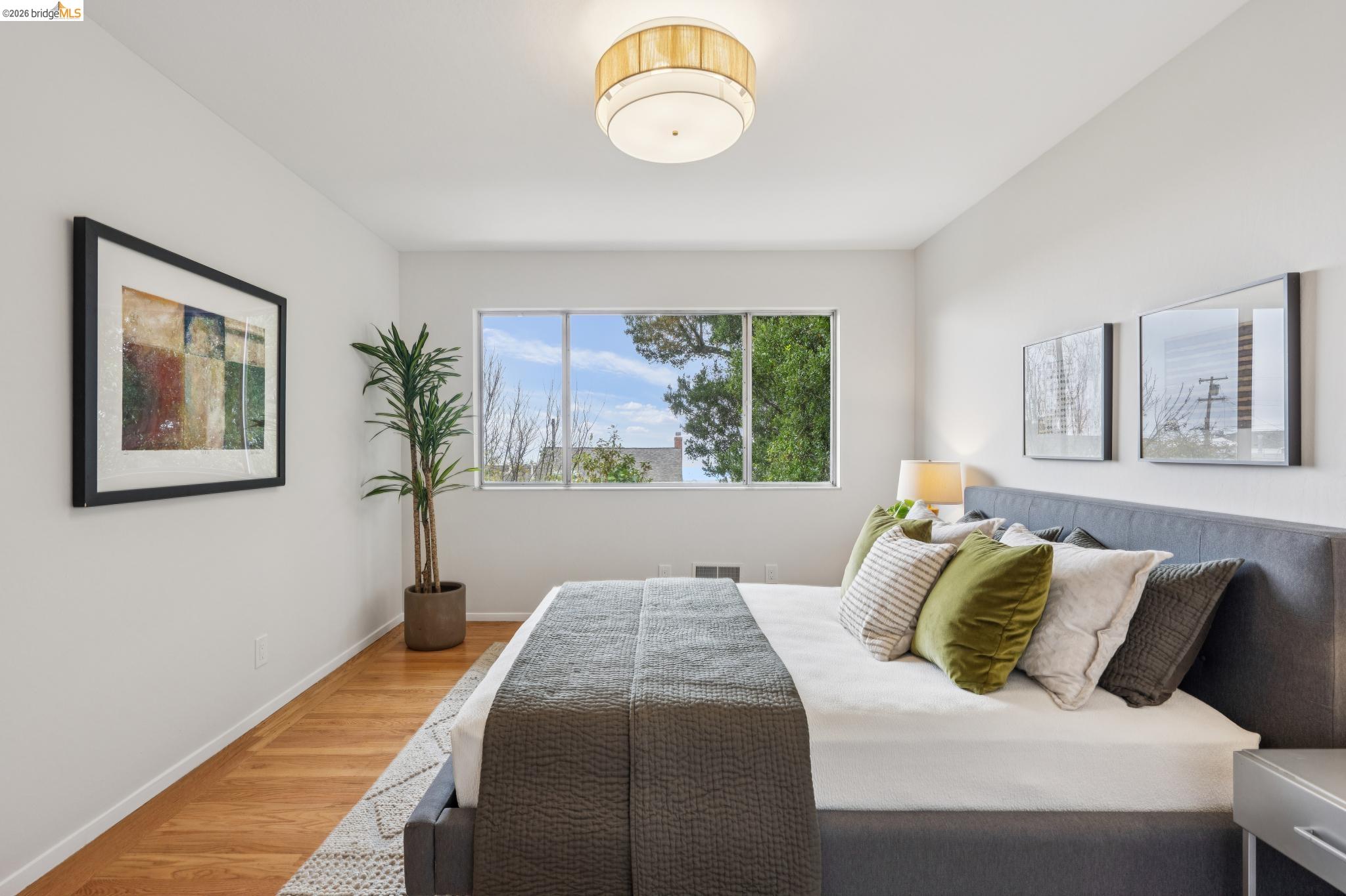 222 Cambridge Ave, Kensington CA 94708 — photo 42