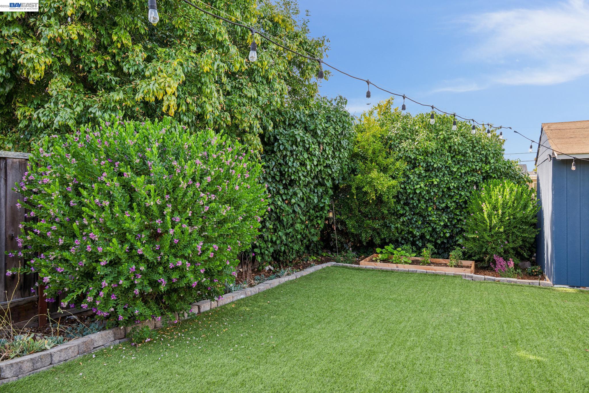 6233 Zulmida Ave, Newark CA 94560 — photo 21