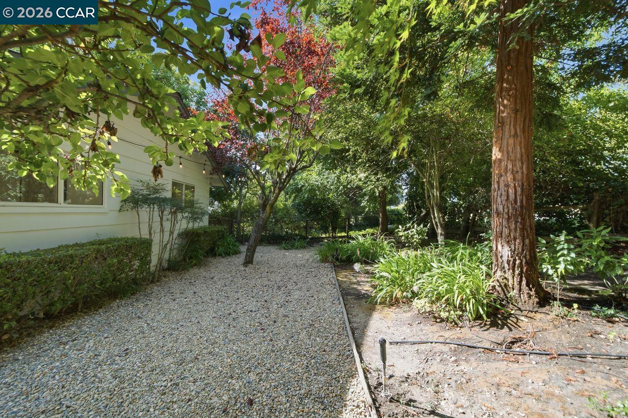 559 Old Orchard Dr, Danville CA 94526 — photo 41