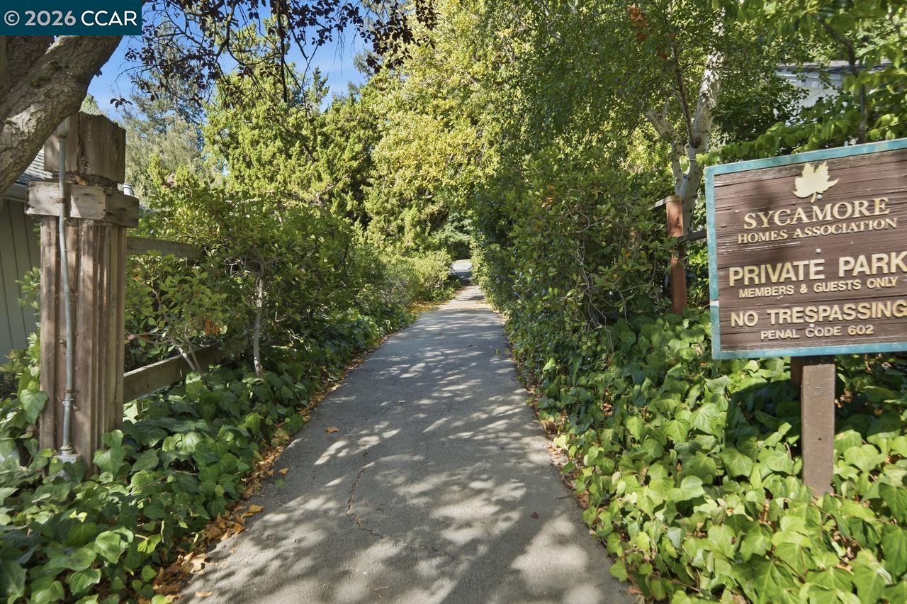 559 Old Orchard Dr, Danville CA 94526 — photo 45