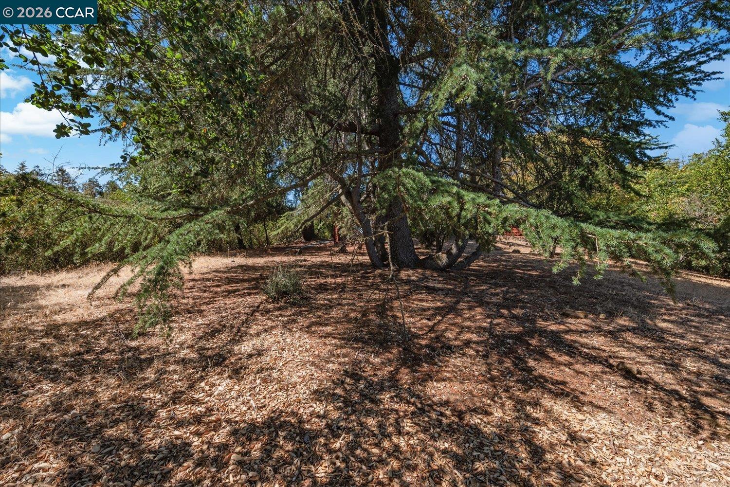 4848 Venner Rd, Martinez CA 94553 — photo 53