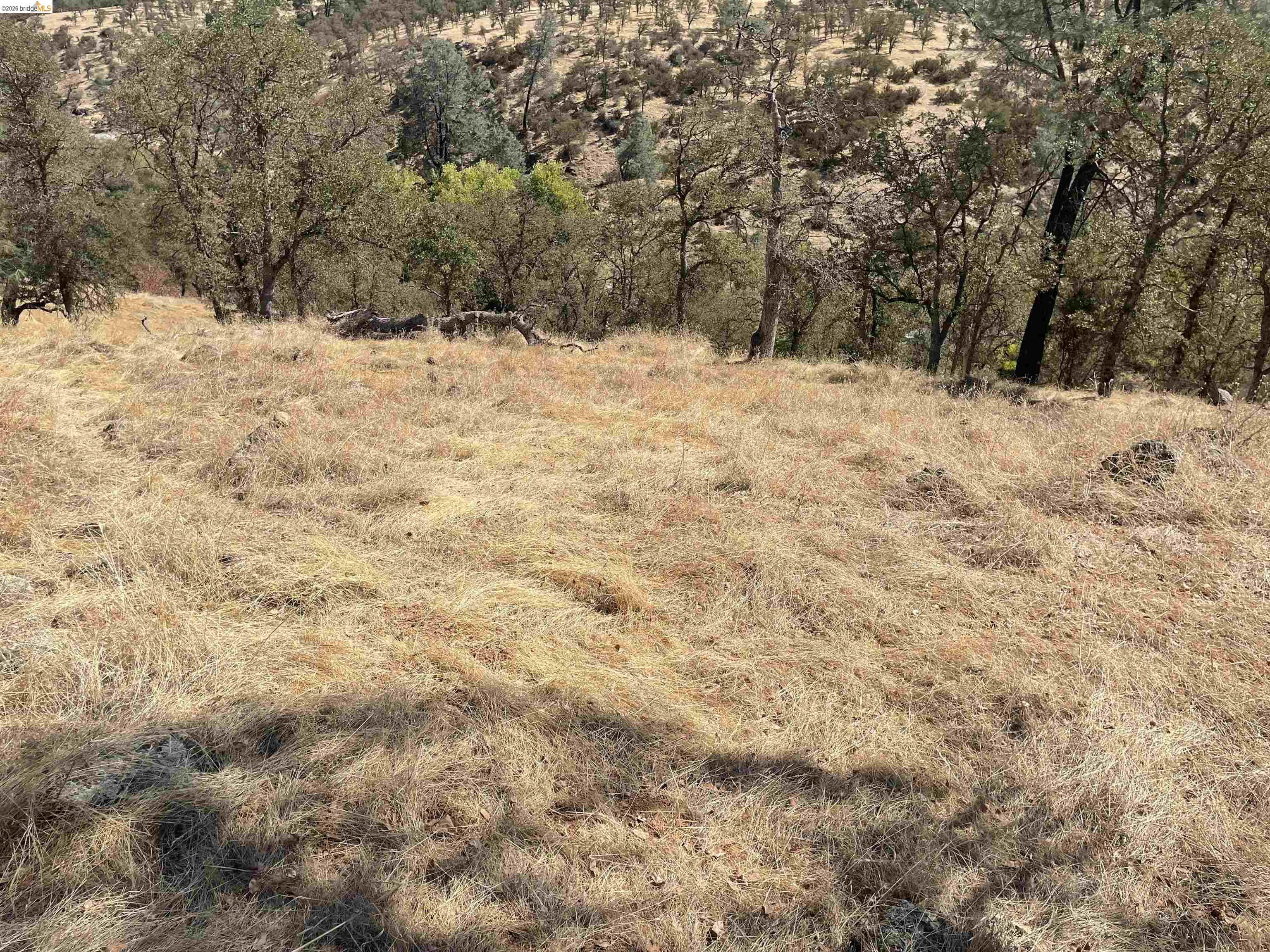 6647 Cane Lane, Valley Springs CA 95252 — photo 3