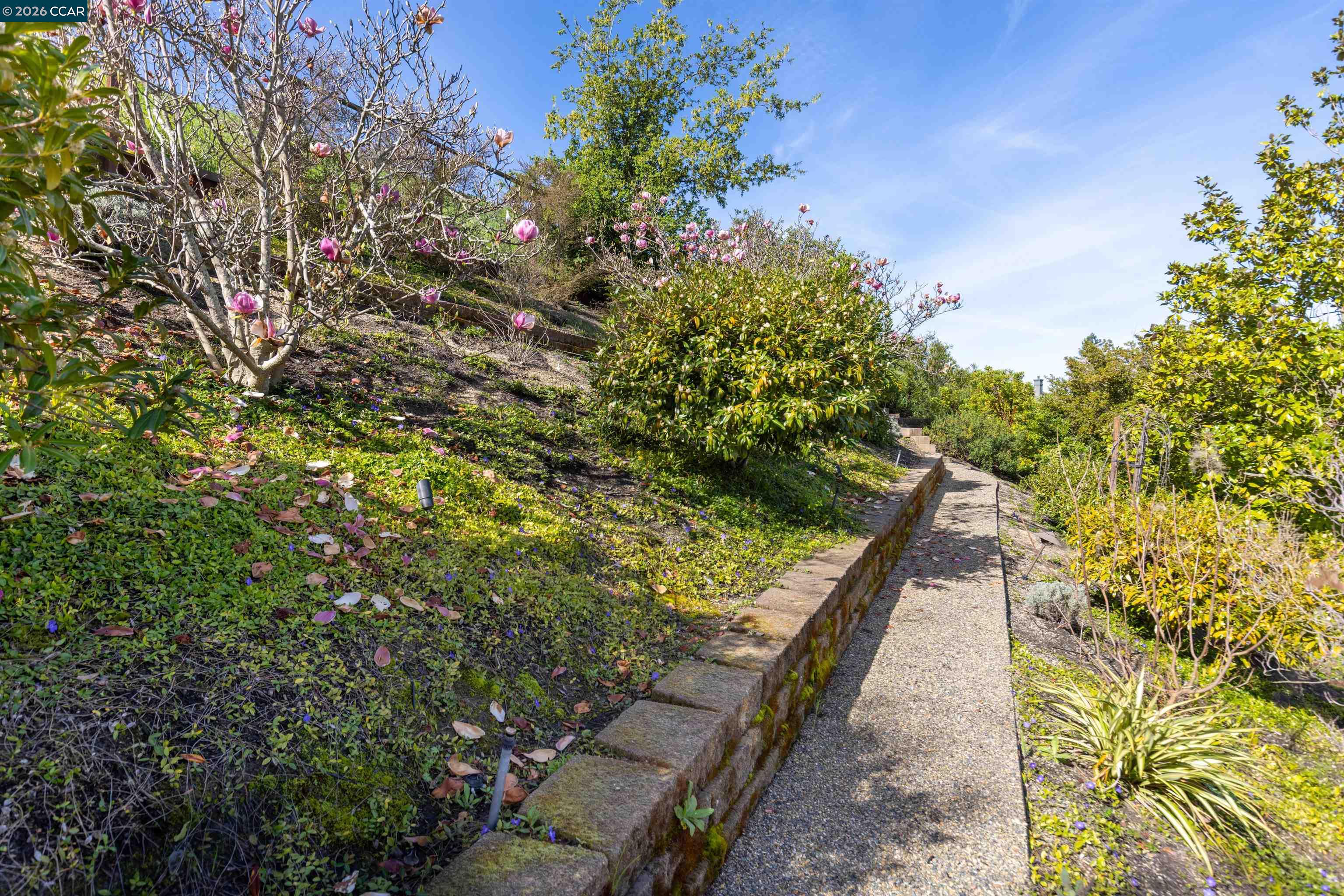 1536 Serafix Rd, Alamo CA 94507 — photo 45
